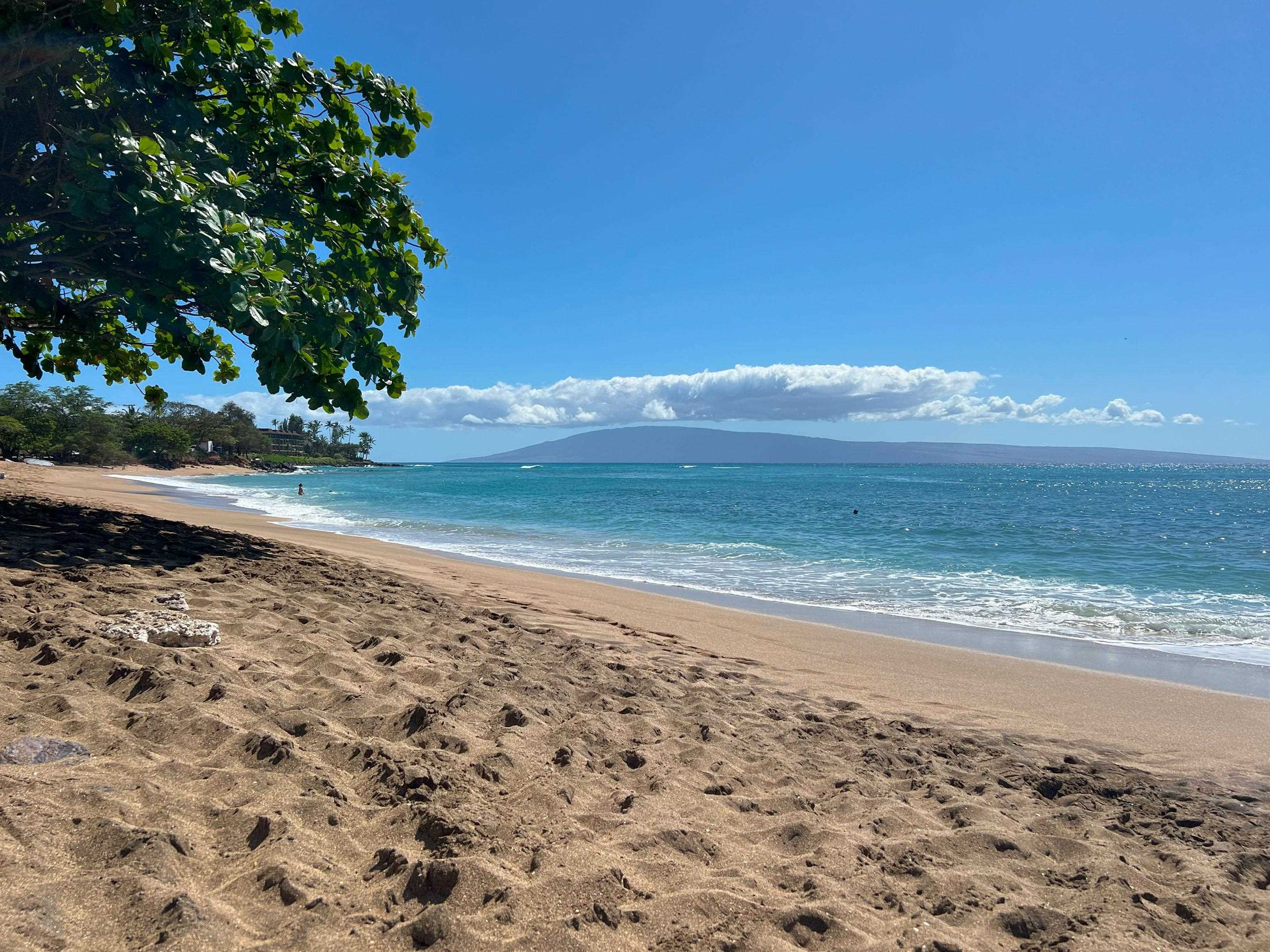 Sands of Kahana condo # 171, Lahaina, Hawaii - photo 48 of 49