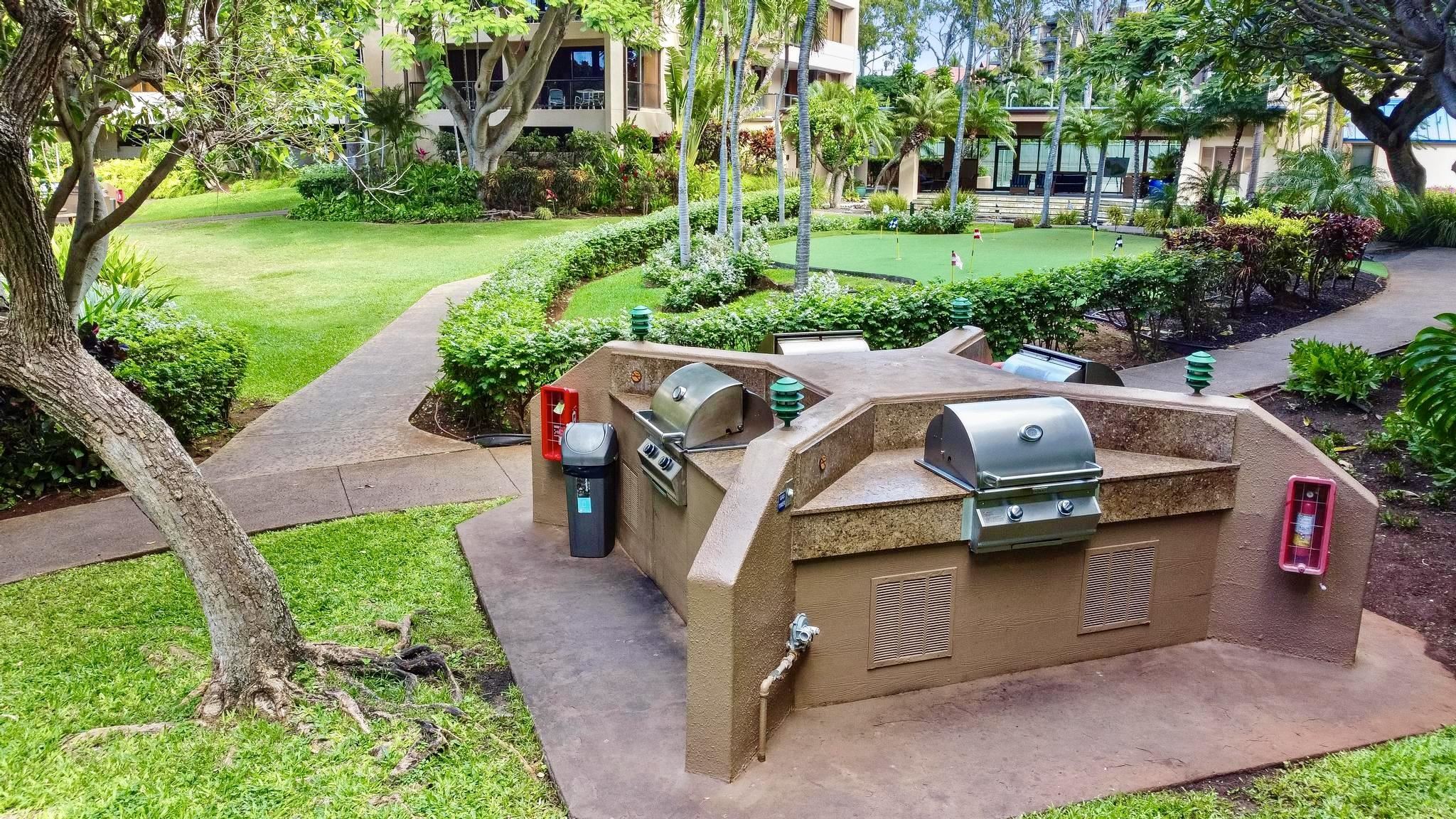 Sands of Kahana condo # 171, Lahaina, Hawaii - photo 48 of 50