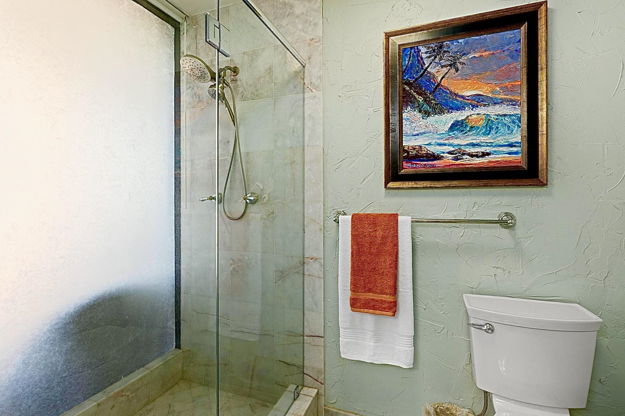 Sands of Kahana condo # 171, Lahaina, Hawaii - photo 26 of 50