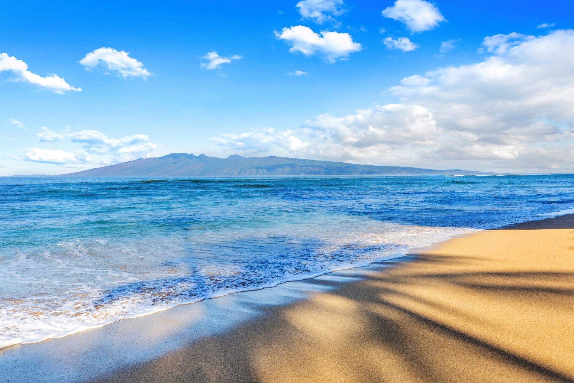 Sands of Kahana condo # 231, Lahaina, Hawaii - photo 16 of 50