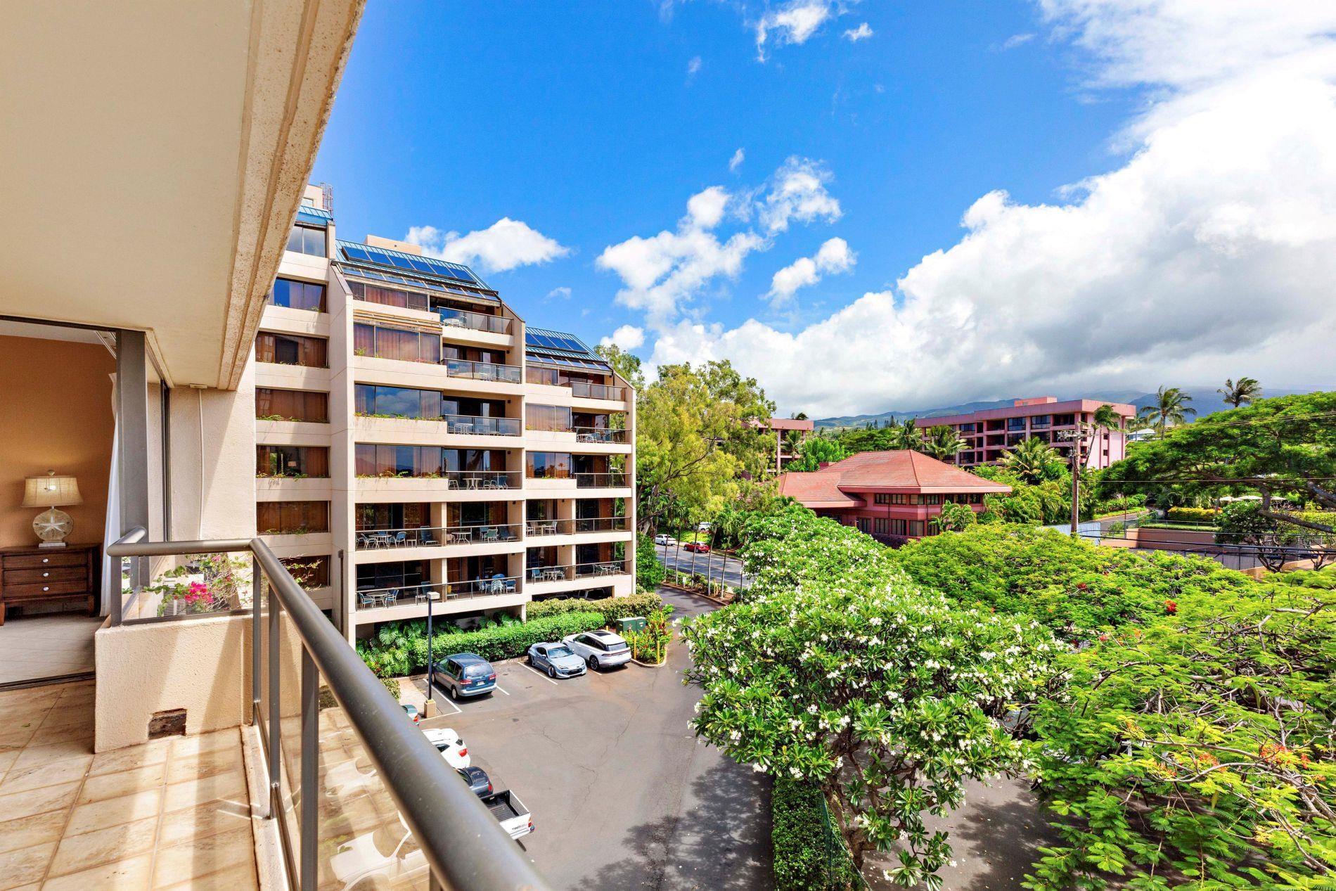 Sands of Kahana condo # 231, Lahaina, Hawaii - photo 39 of 50