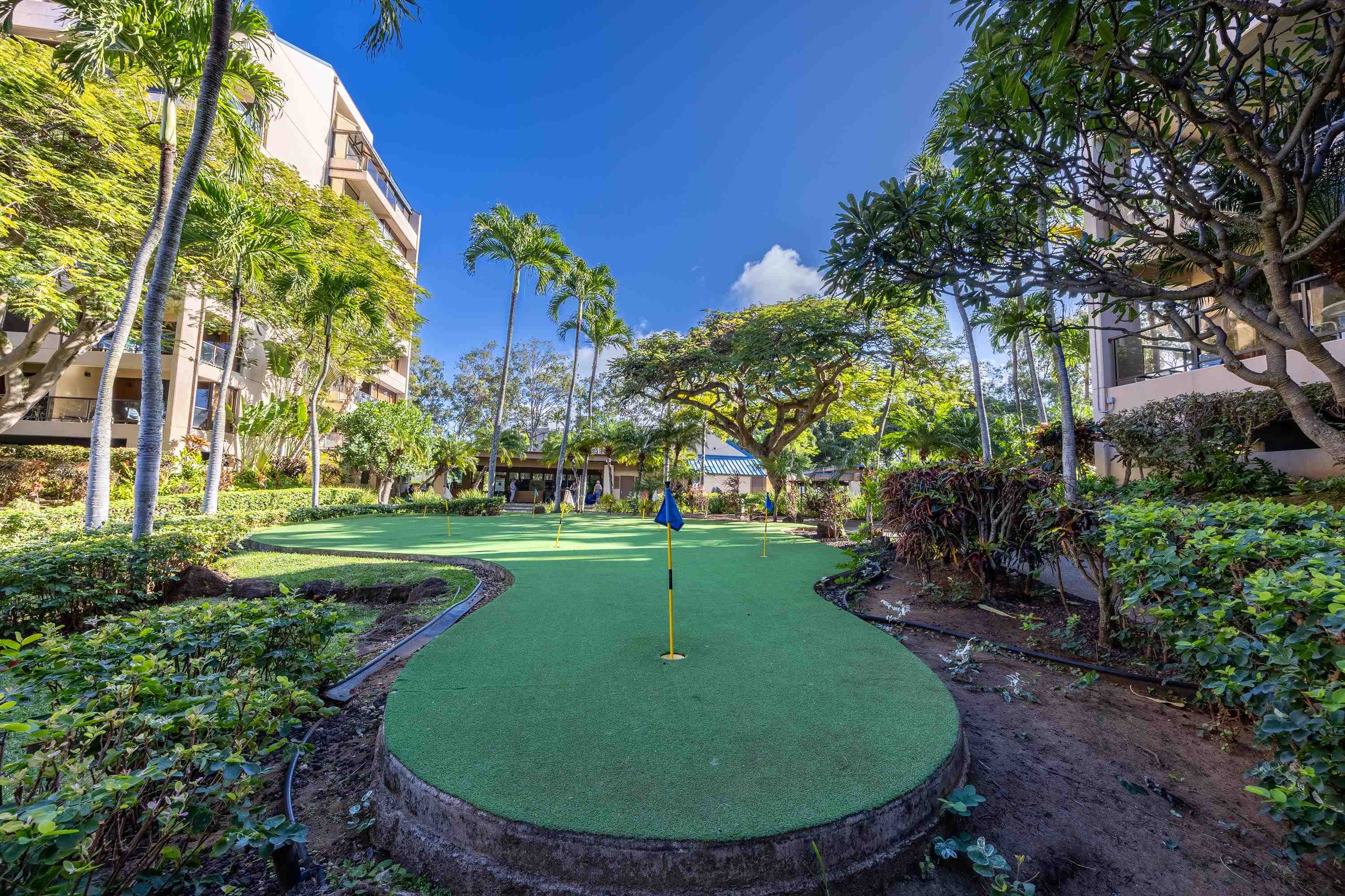 Sands of Kahana condo # 243, Lahaina, Hawaii - photo 47 of 50
