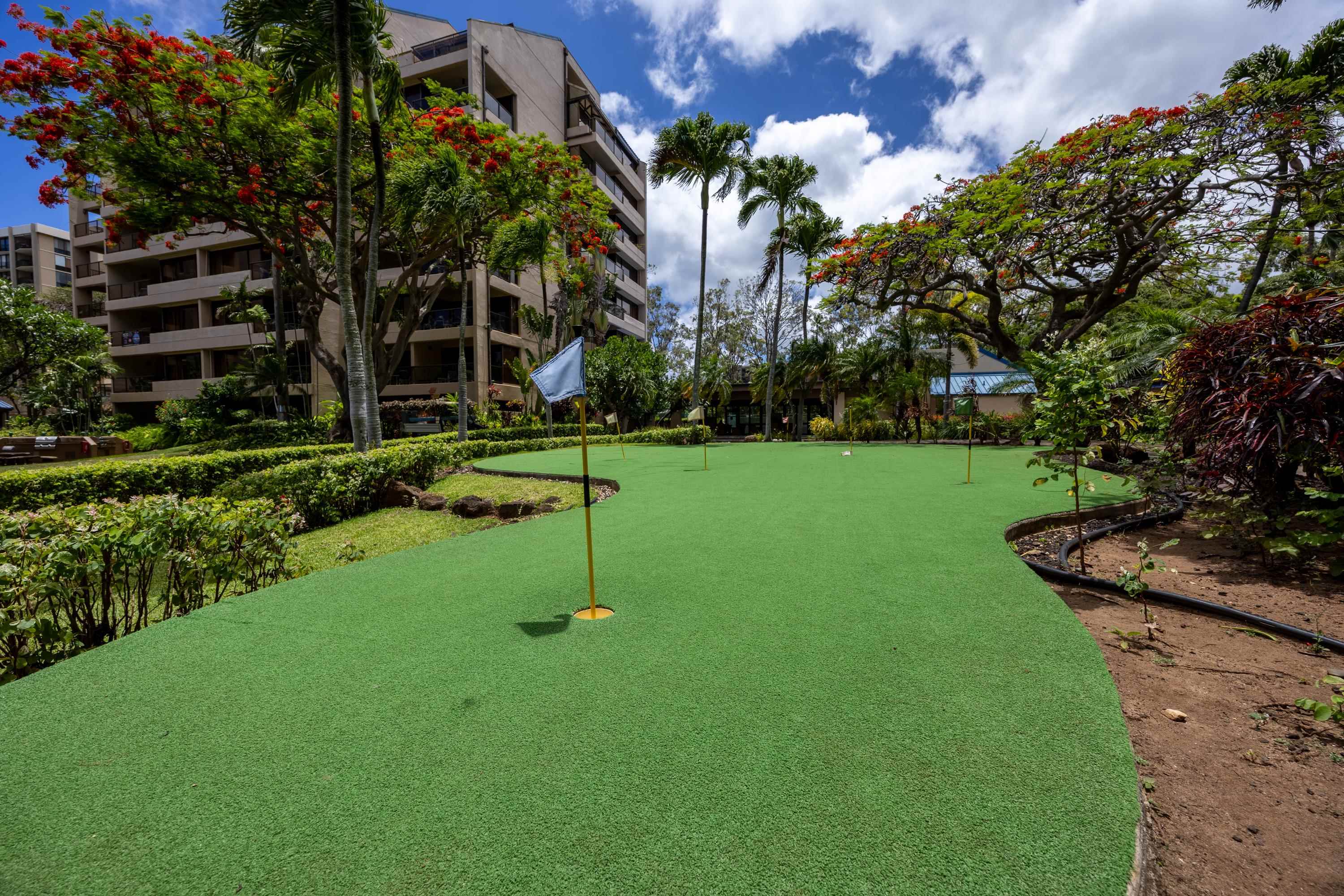 Sands of Kahana condo # 275, Lahaina, Hawaii - photo 49 of 50