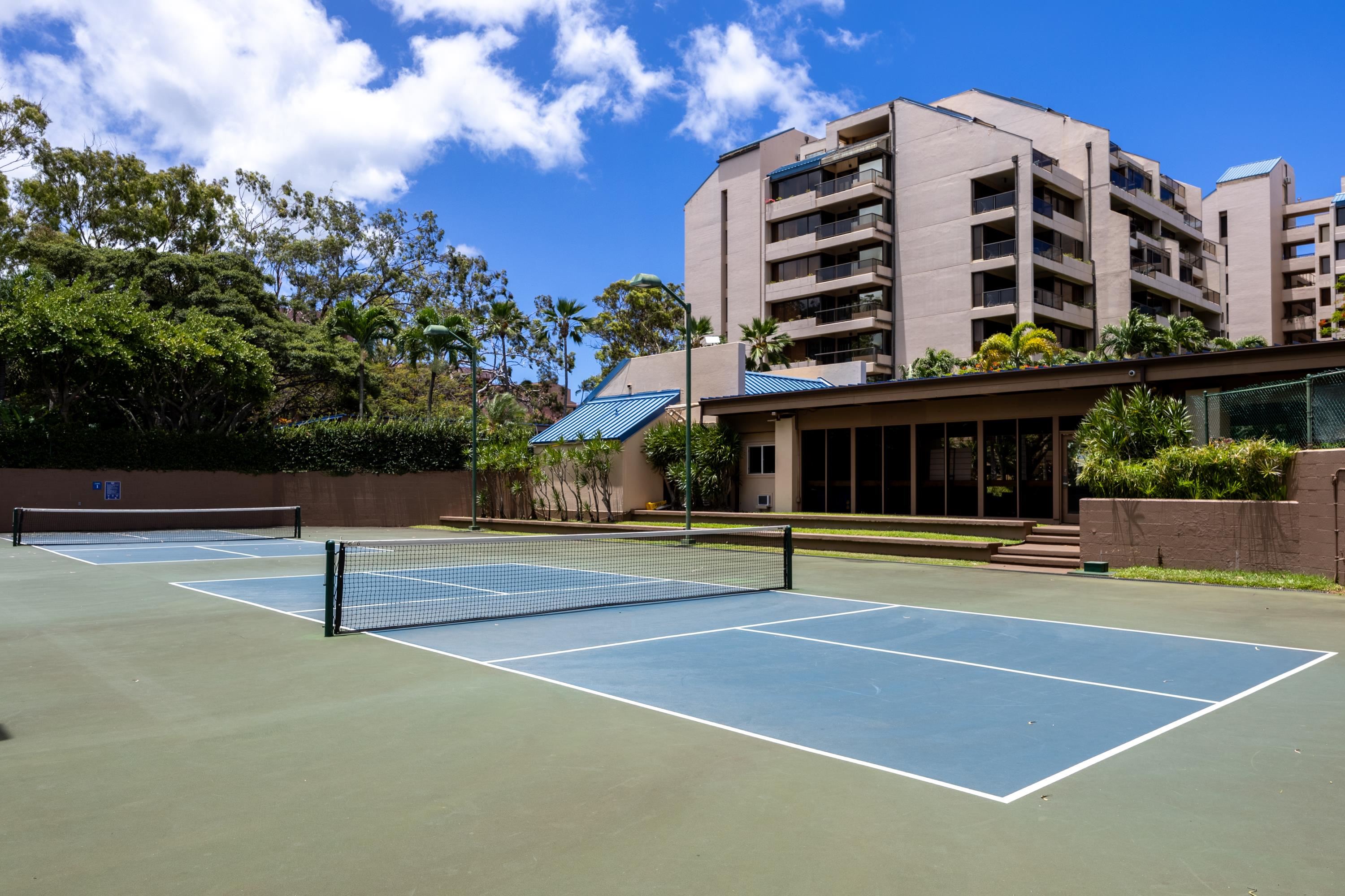 Sands of Kahana condo # 275, Lahaina, Hawaii - photo 50 of 50