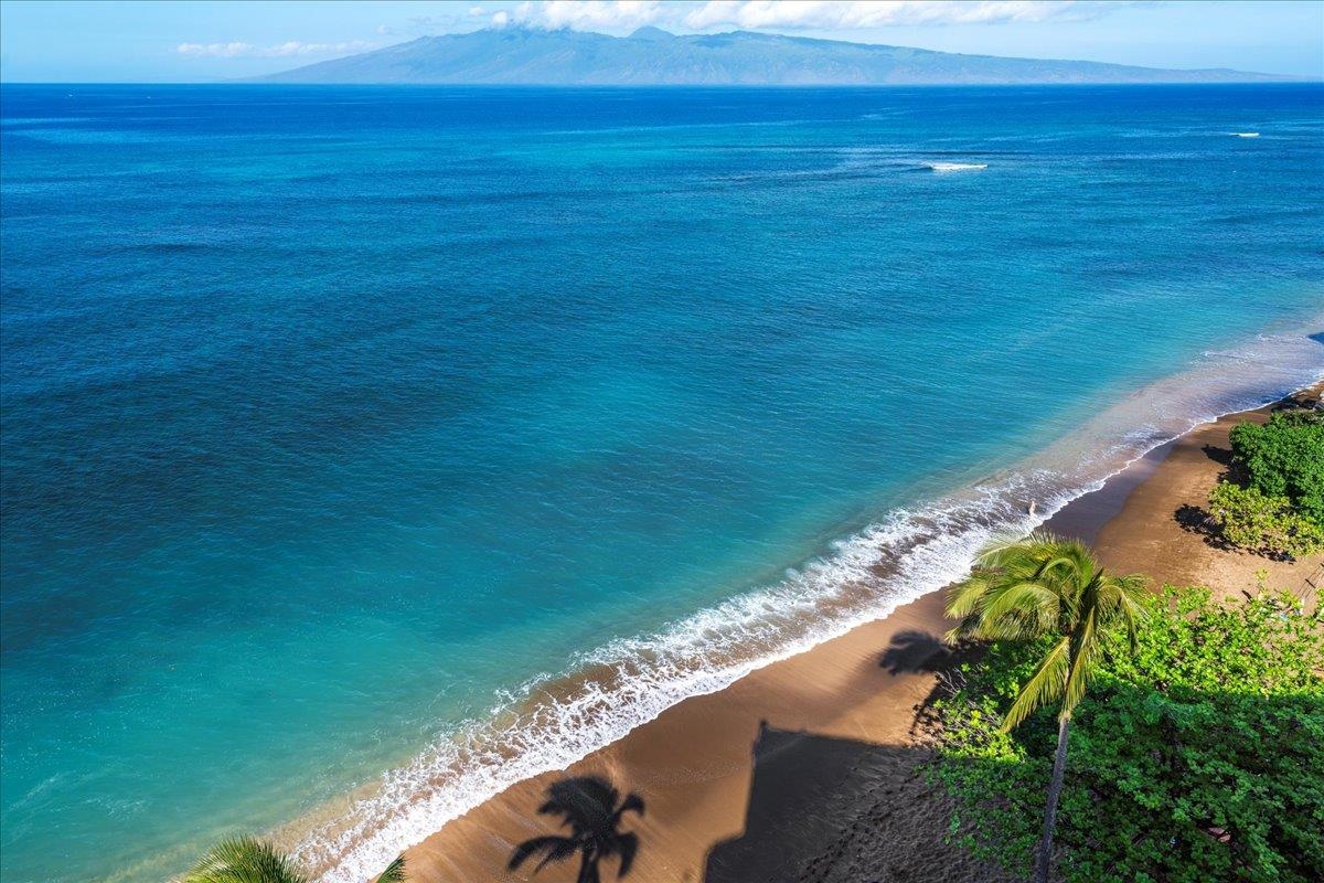 Sands of Kahana condo # 281, Lahaina, Hawaii - photo 23 of 49