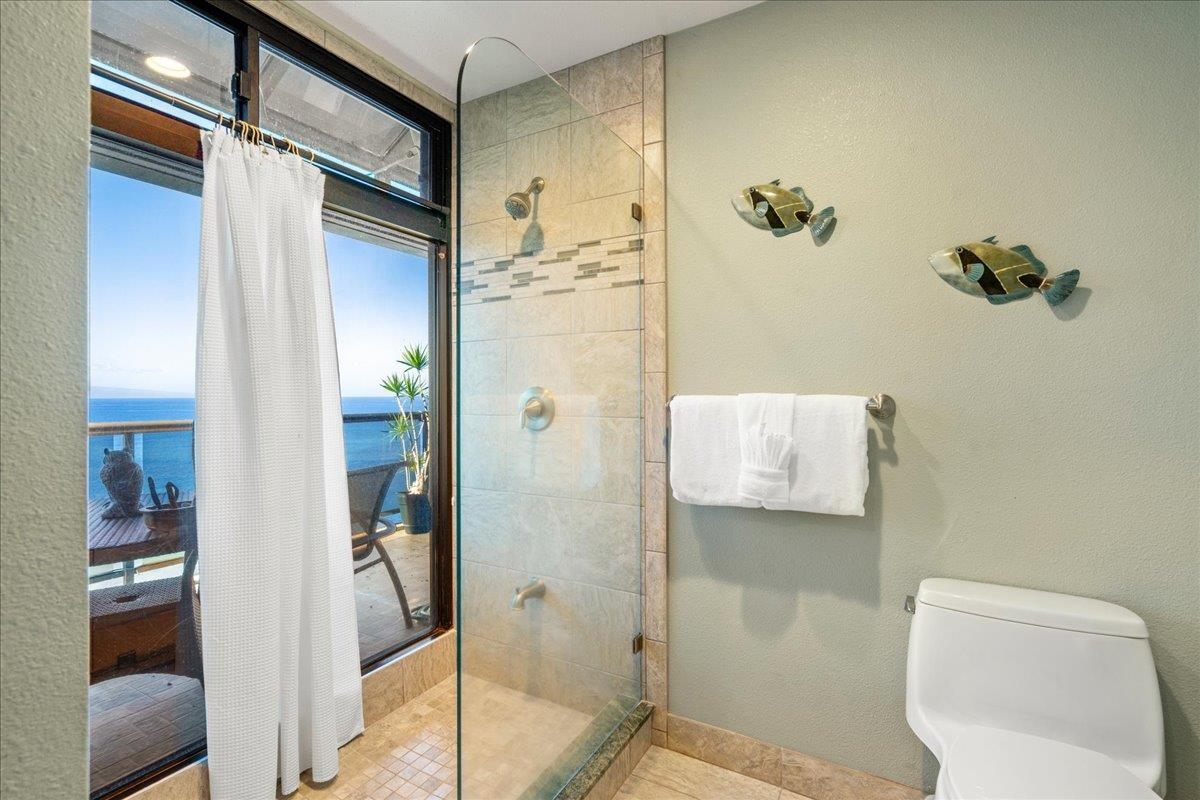 Sands of Kahana condo # 281, Lahaina, Hawaii - photo 39 of 49