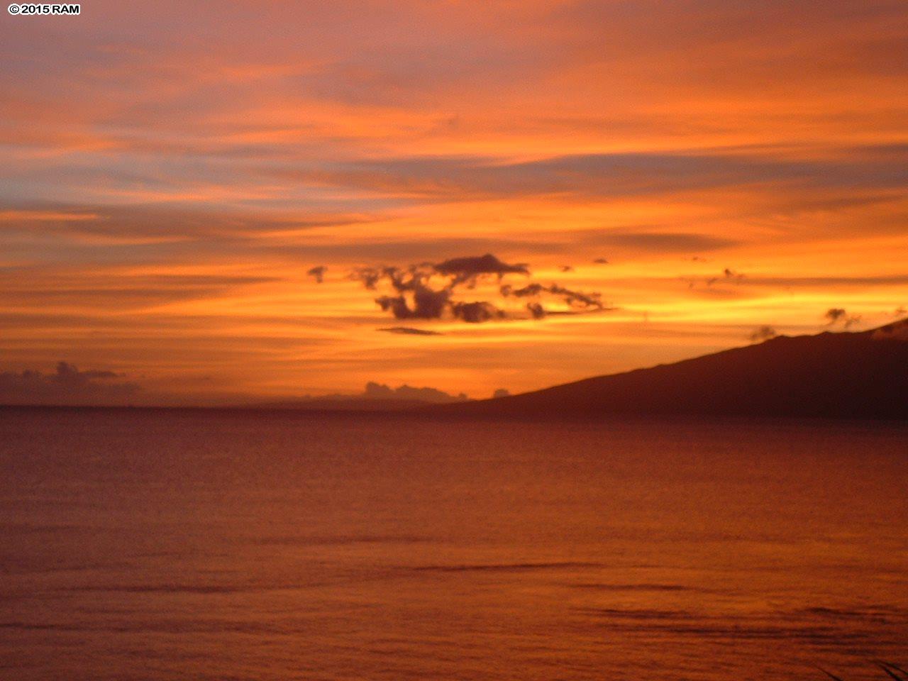 Sands of Kahana condo # 391, Lahaina, Hawaii - photo 29 of 29