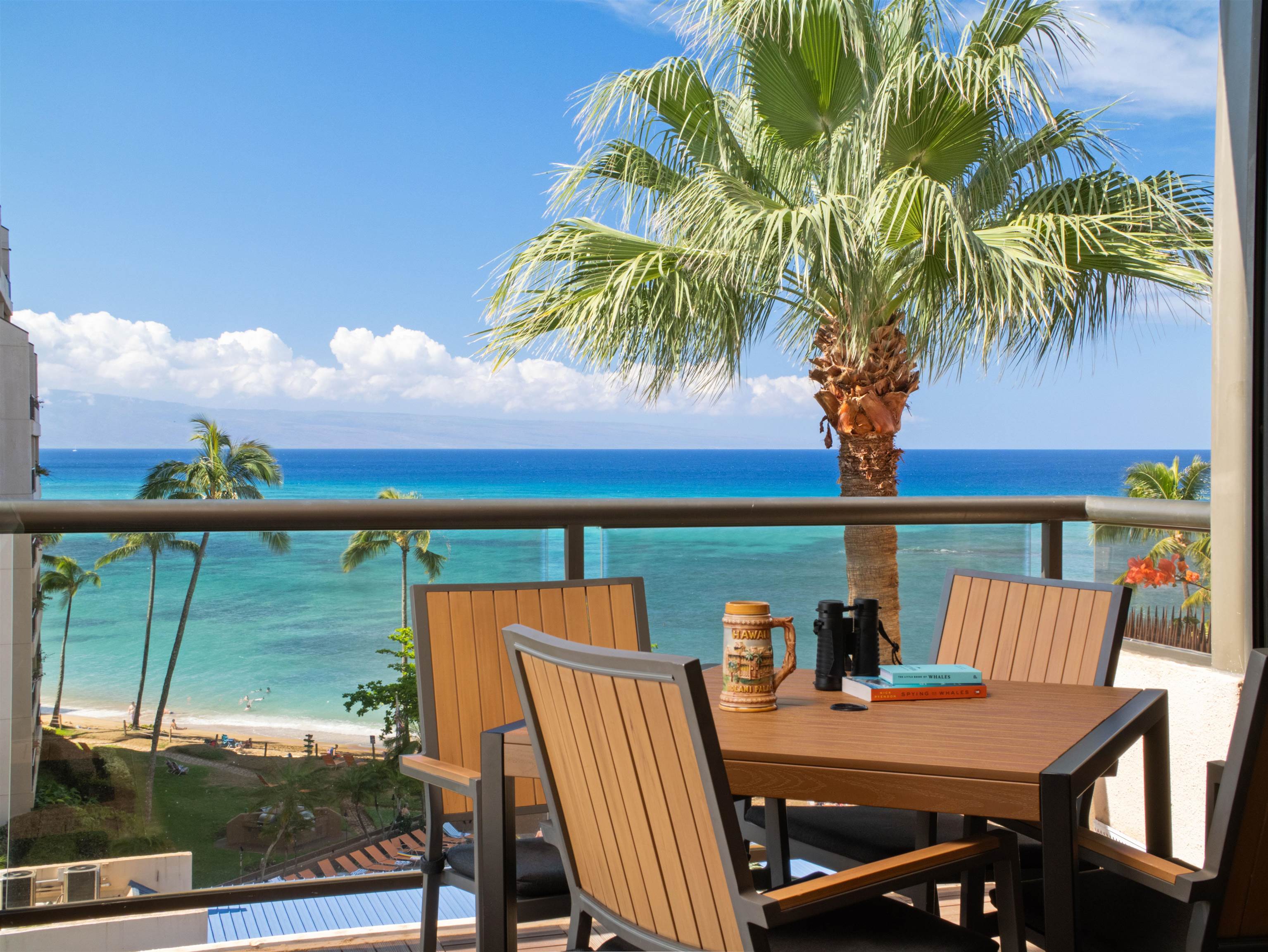 Sands of Kahana condo # 456, Lahaina, Hawaii - photo 17 of 46