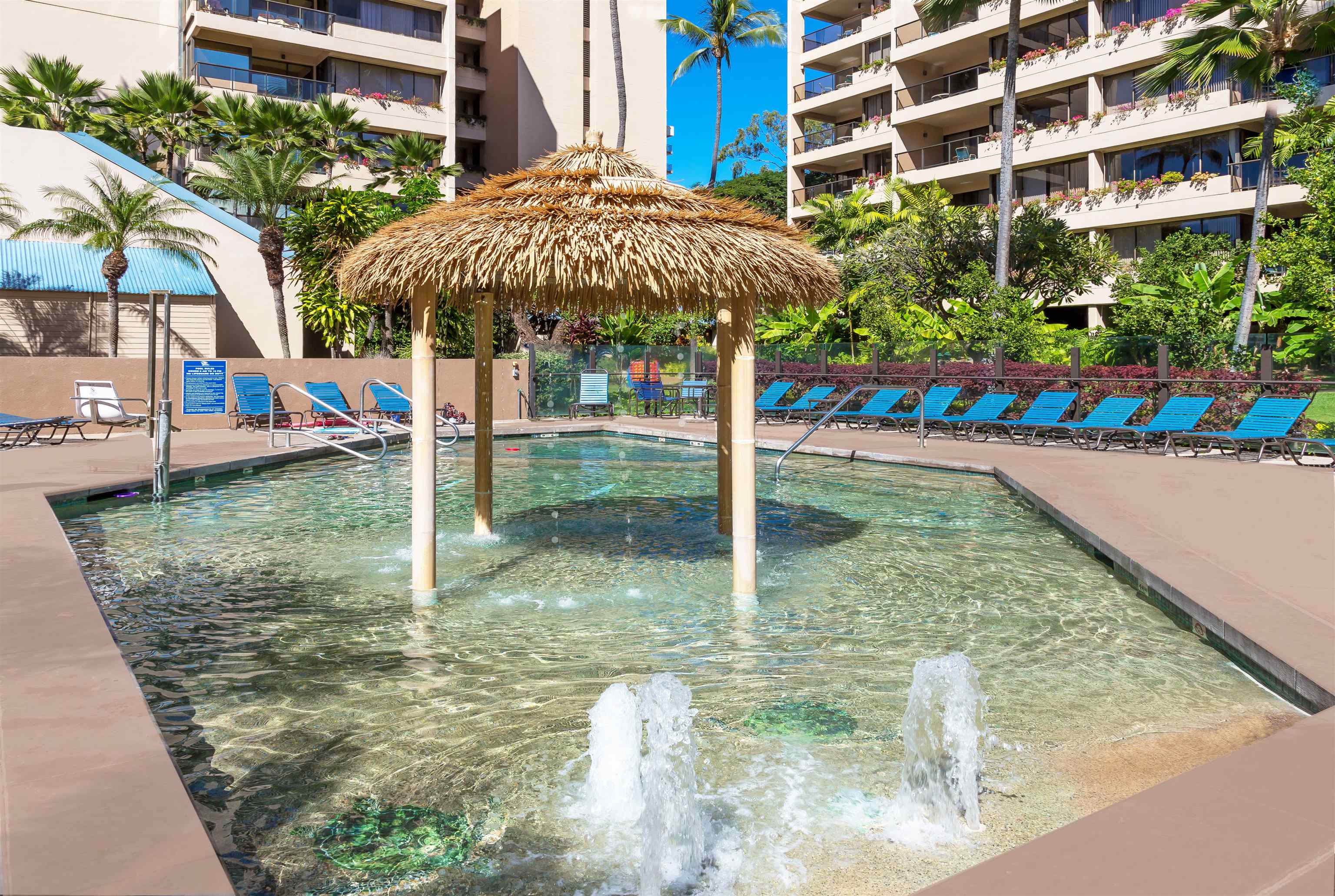 Sands of Kahana condo # 456, Lahaina, Hawaii - photo 40 of 46