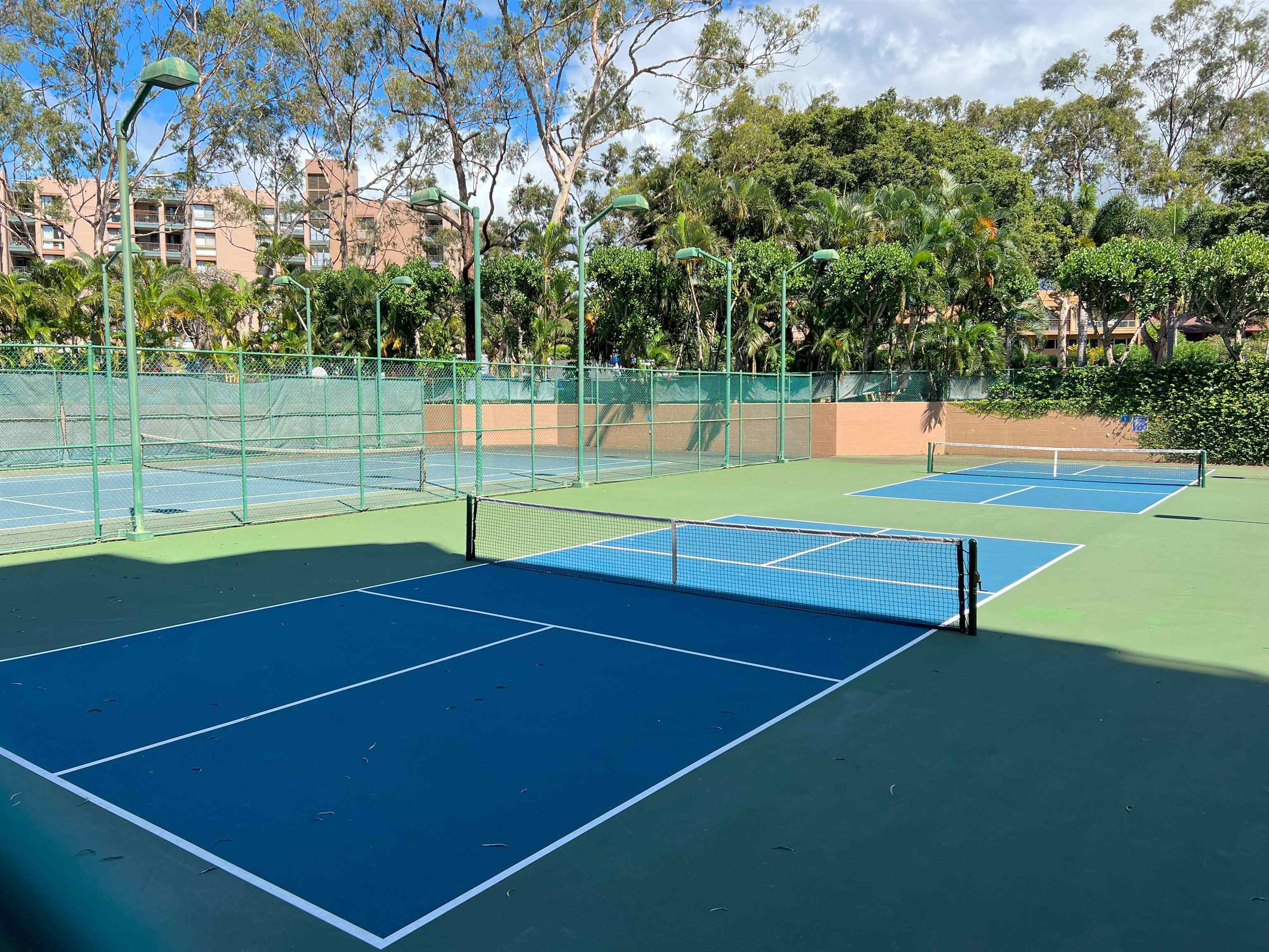 Sands of Kahana condo # 456, Lahaina, Hawaii - photo 42 of 46