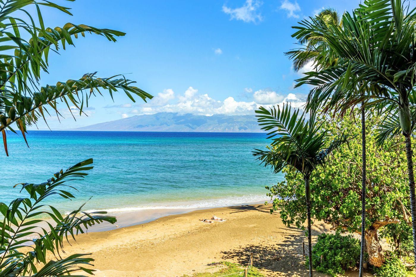 Sands of Kahana condo # 324, Lahaina, Hawaii - photo 39 of 50