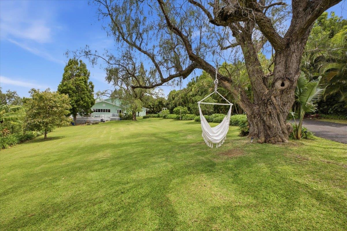 43  Lopaka Pl Lower Kula, Kula/Ulupalakua/Kanaio home - photo 49 of 50