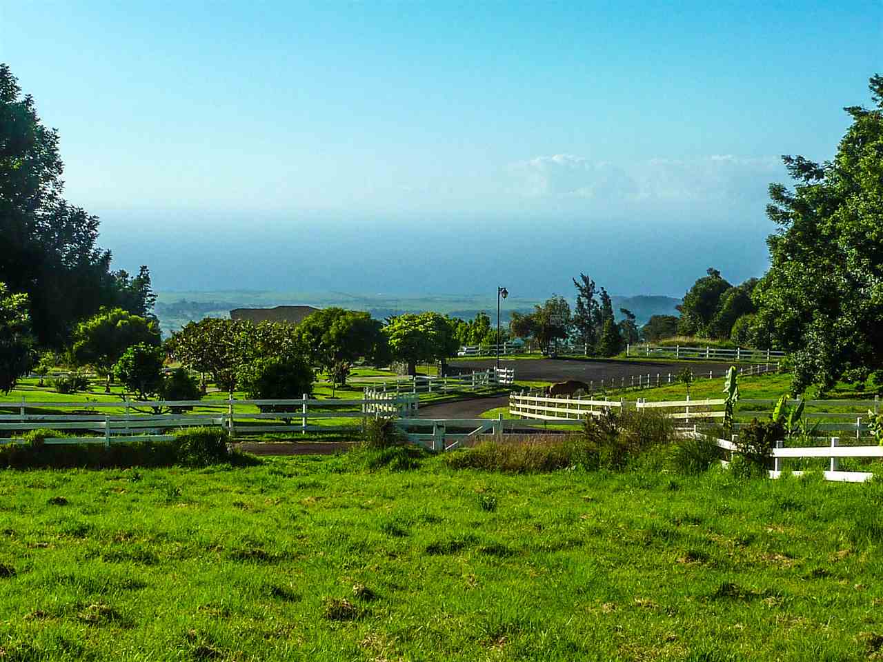 43 Naniuka Pl  Makawao, Hi vacant land for sale - photo 2 of 30