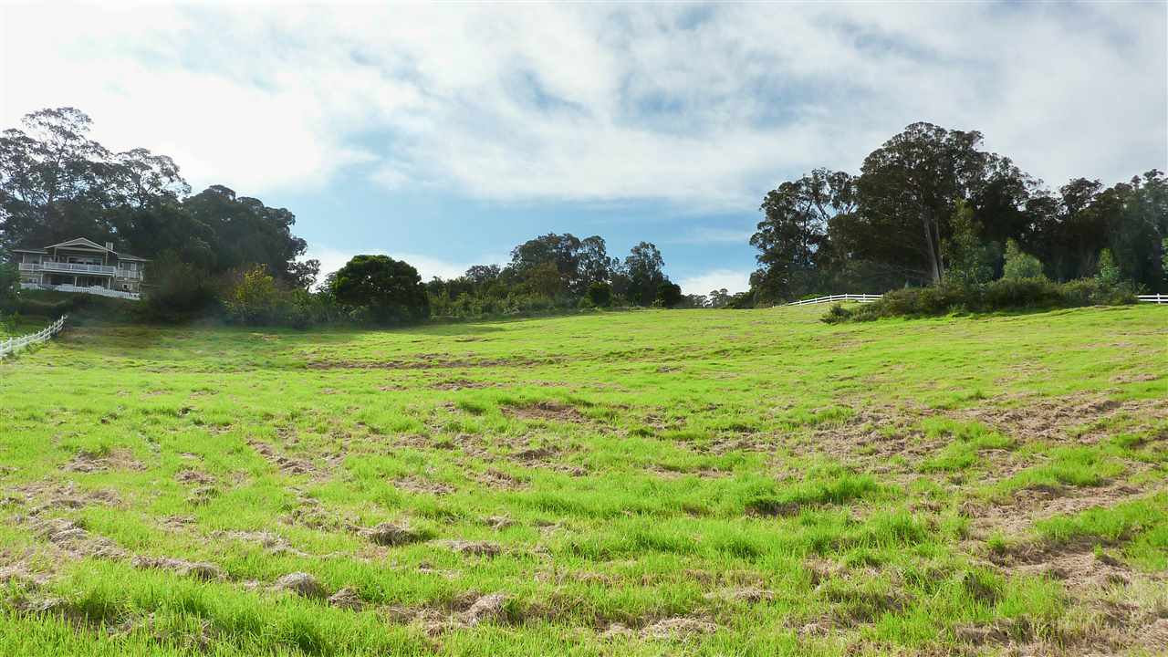 43 Naniuka Pl  Makawao, Hi vacant land for sale - photo 11 of 30