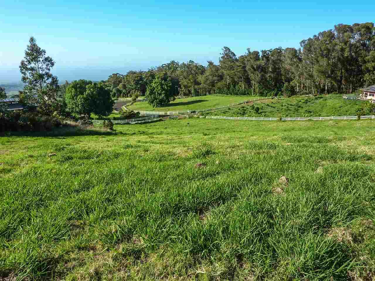 43 Naniuka Pl  Makawao, Hi vacant land for sale - photo 12 of 30