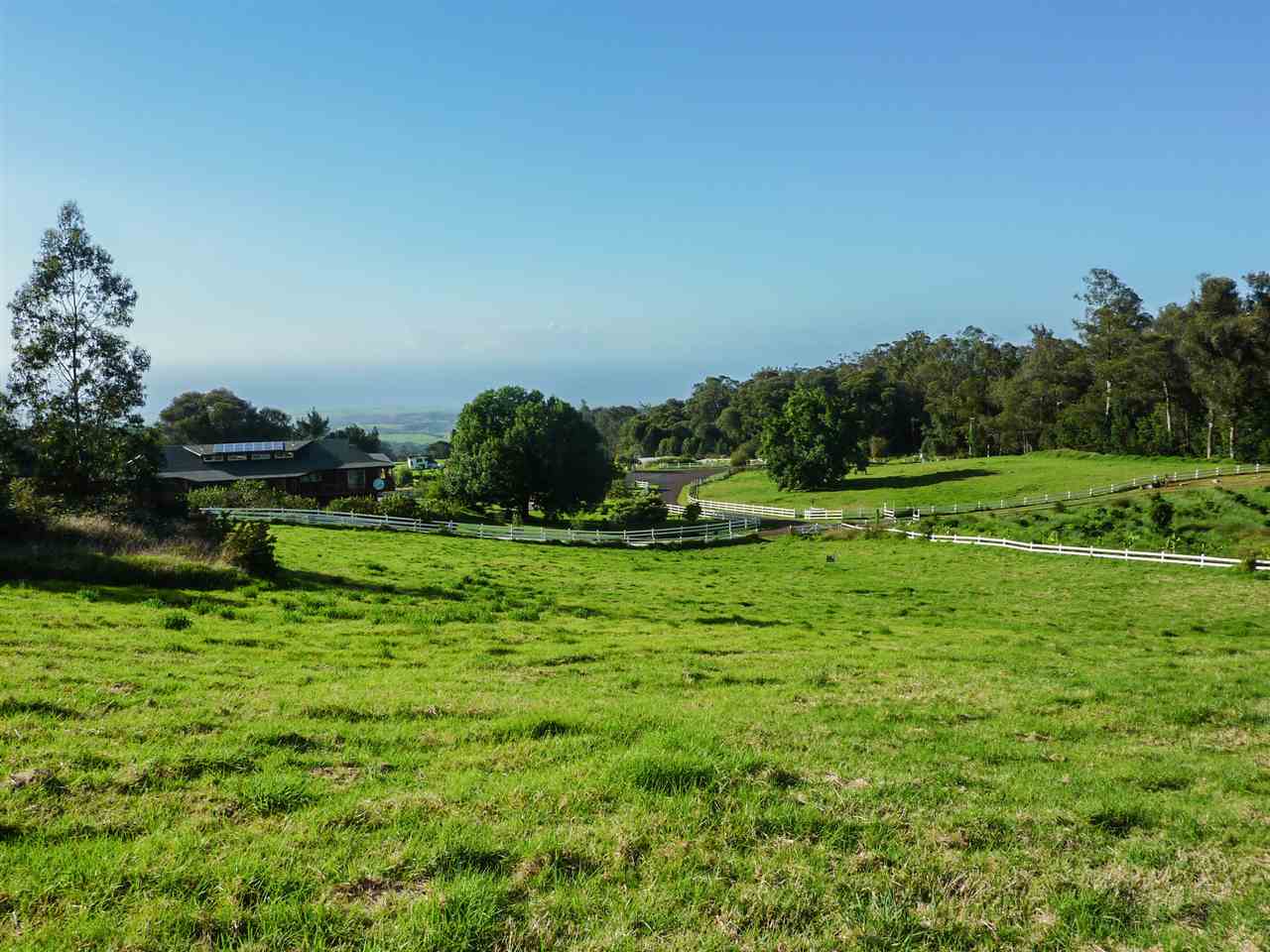 43 Naniuka Pl  Makawao, Hi vacant land for sale - photo 15 of 30