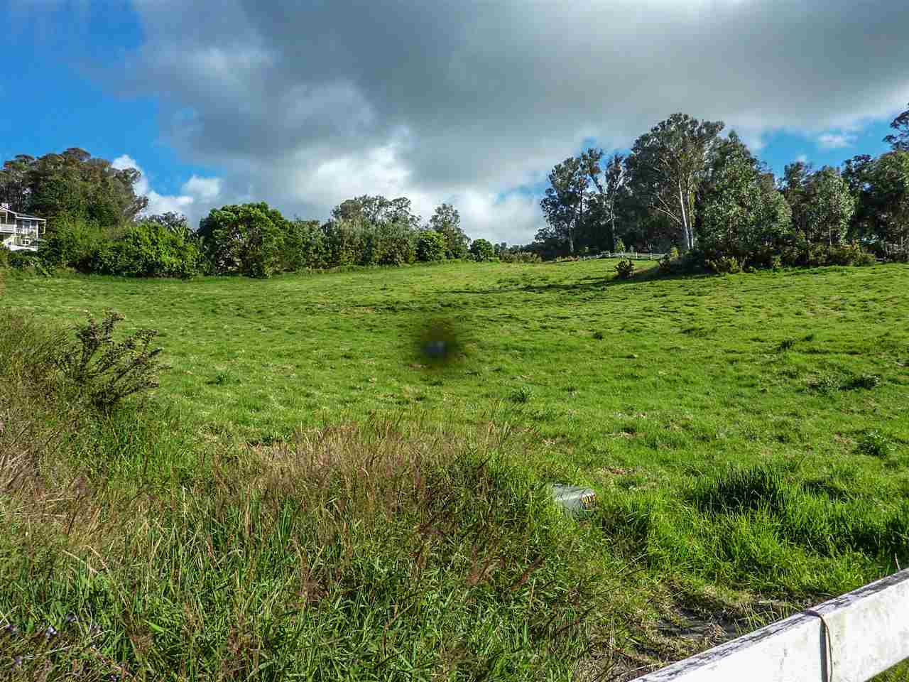 43 Naniuka Pl  Makawao, Hi vacant land for sale - photo 19 of 30