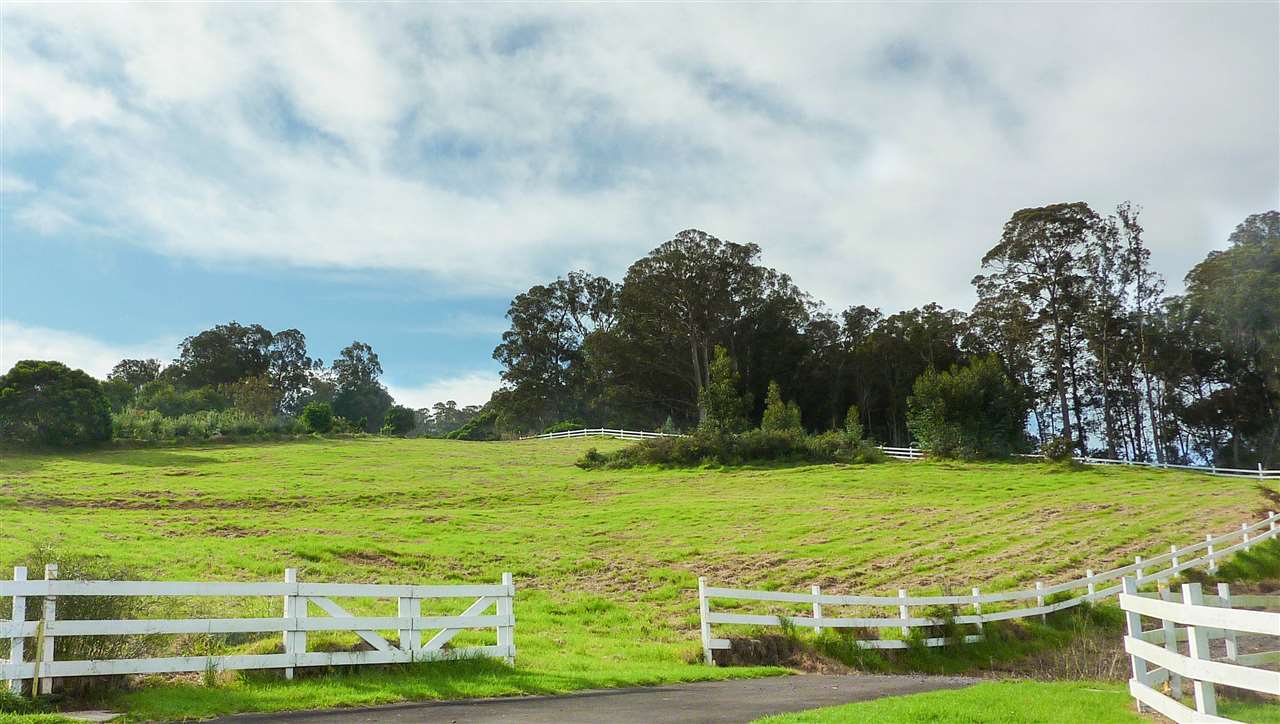 43 Naniuka Pl  Makawao, Hi vacant land for sale - photo 3 of 30
