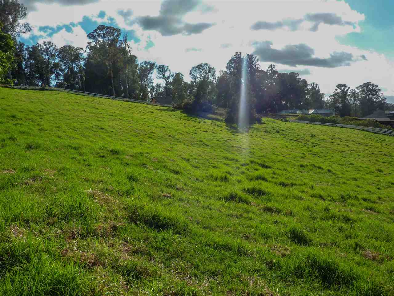 43 Naniuka Pl  Makawao, Hi vacant land for sale - photo 22 of 30