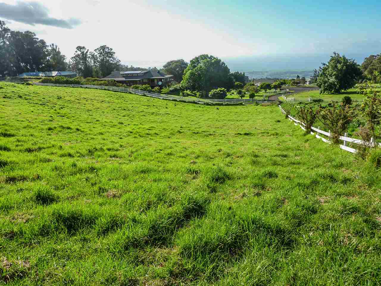43 Naniuka Pl  Makawao, Hi vacant land for sale - photo 23 of 30