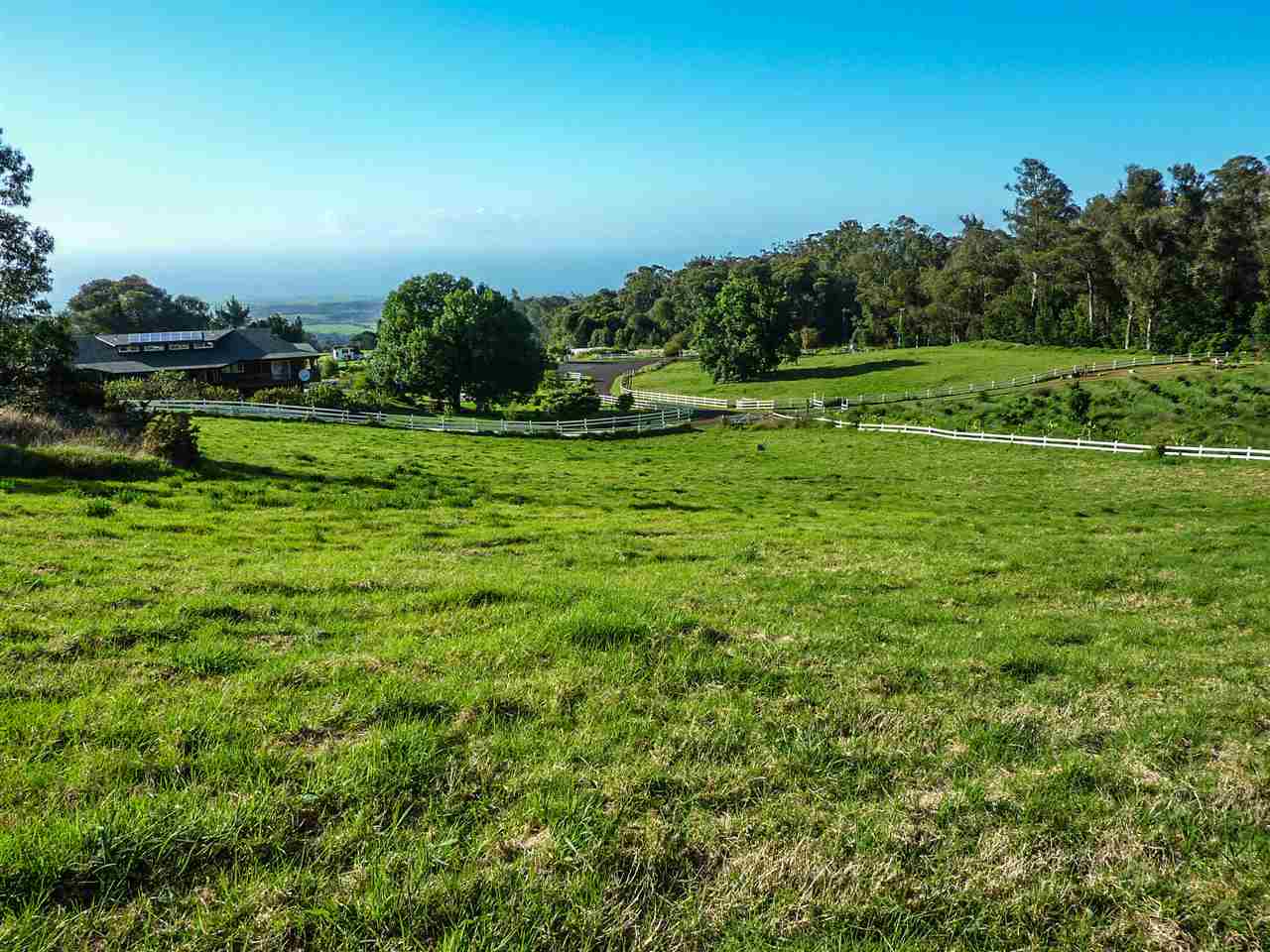 43 Naniuka Pl  Makawao, Hi vacant land for sale - photo 24 of 30