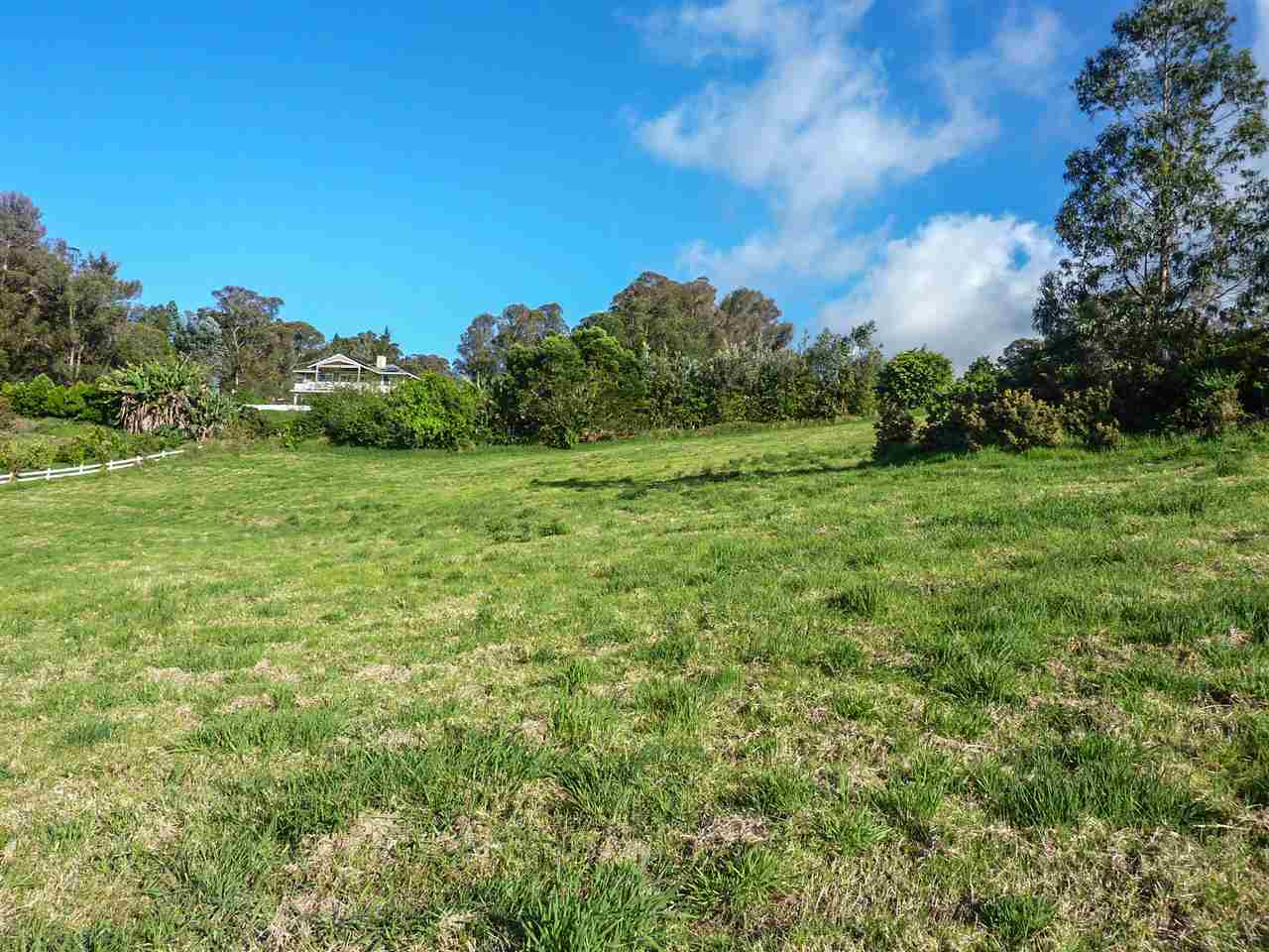 43 Naniuka Pl  Makawao, Hi vacant land for sale - photo 27 of 30