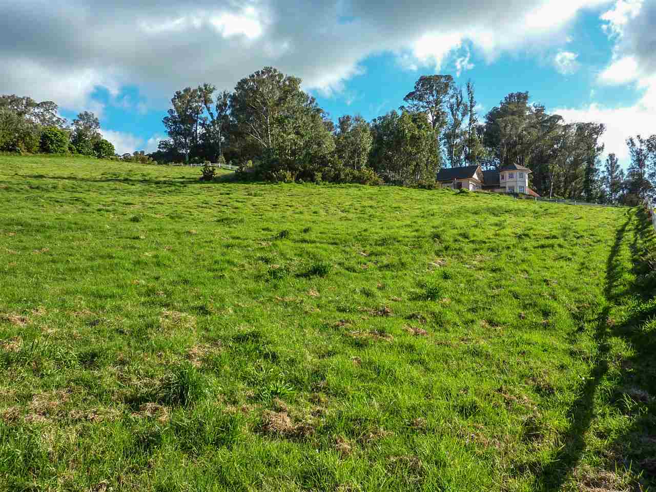 43 Naniuka Pl  Makawao, Hi vacant land for sale - photo 28 of 30