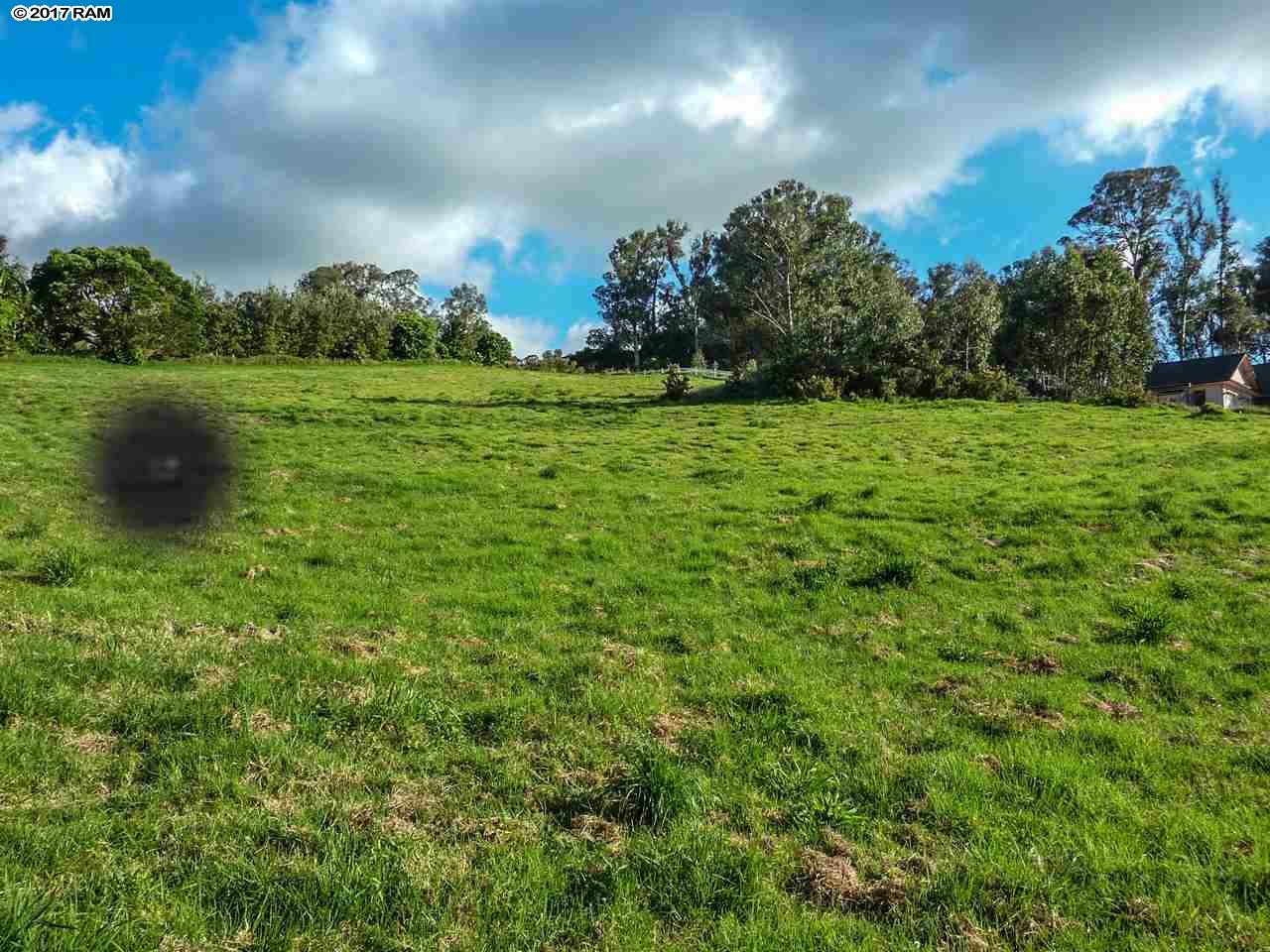 43 Naniuka Pl  Makawao, Hi vacant land for sale - photo 29 of 30