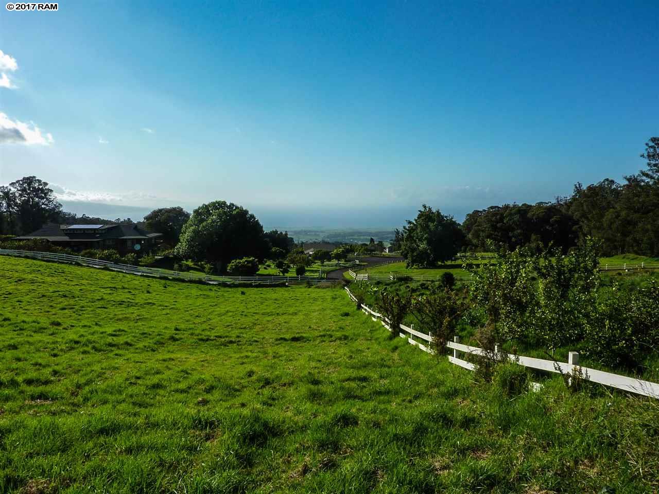 43 Naniuka Pl  Makawao, Hi vacant land for sale - photo 4 of 30