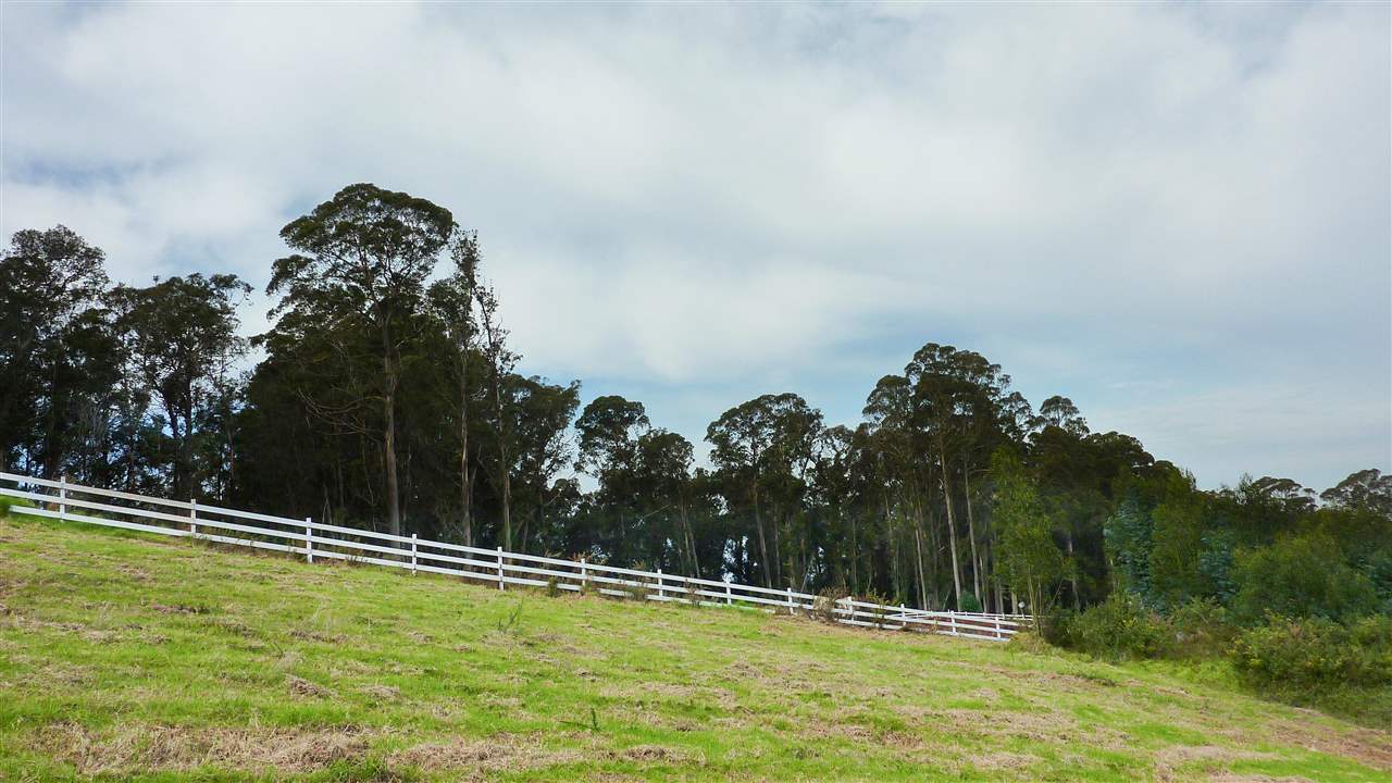 43 Naniuka Pl  Makawao, Hi vacant land for sale - photo 8 of 30