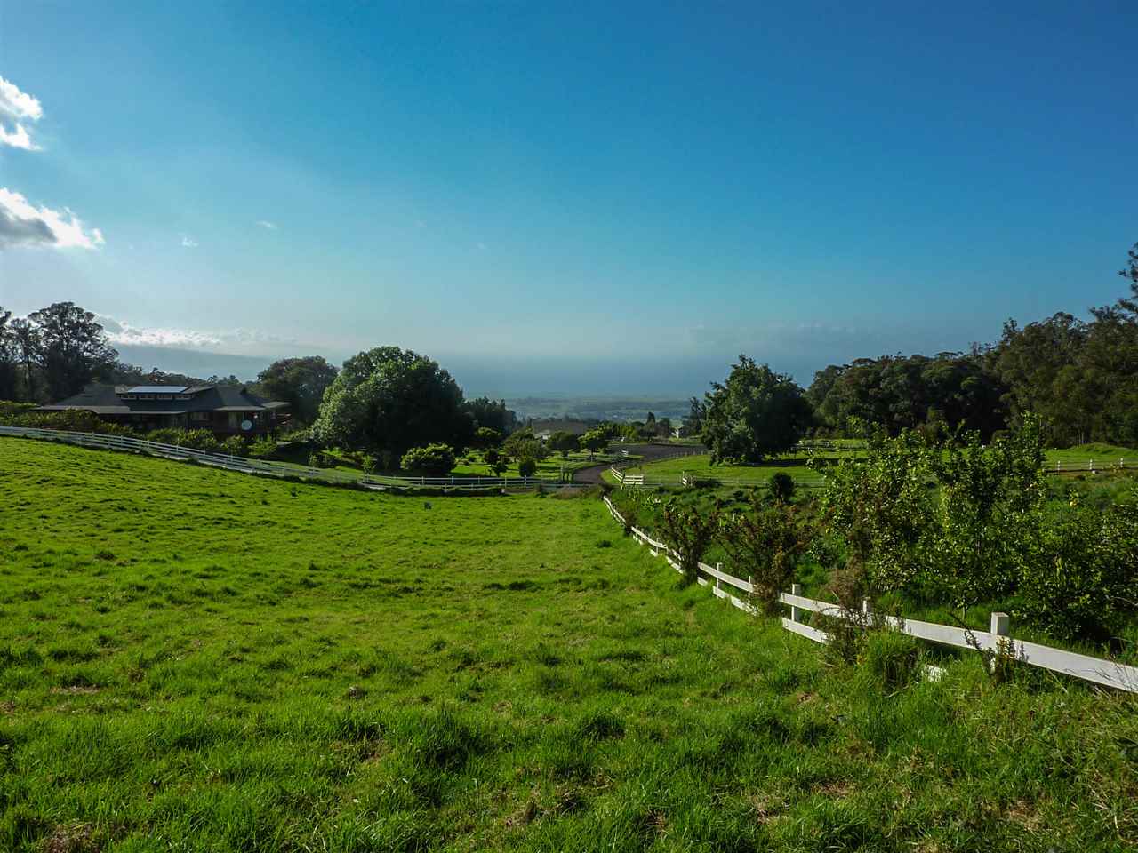 43 Naniuka Pl  Makawao, Hi vacant land for sale - photo 9 of 30