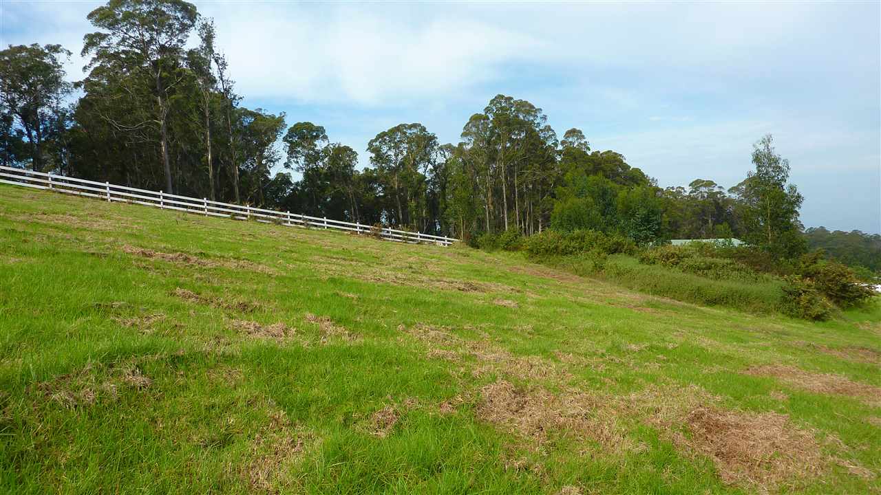 43 Naniuka Pl  Makawao, Hi vacant land for sale - photo 10 of 30