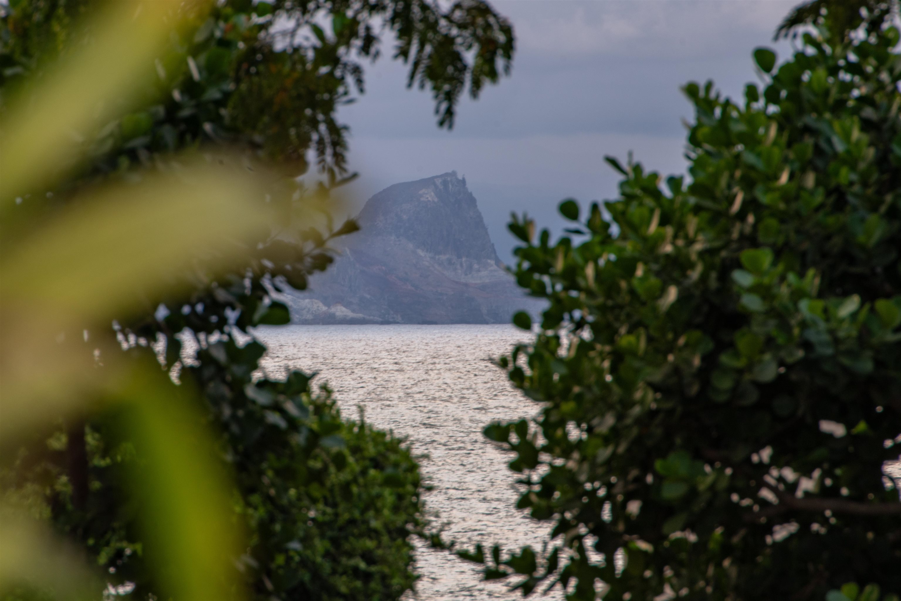 43  Nonohe Pl Spreckelsville, Spreckelsville/Paia/Kuau home - photo 38 of 50