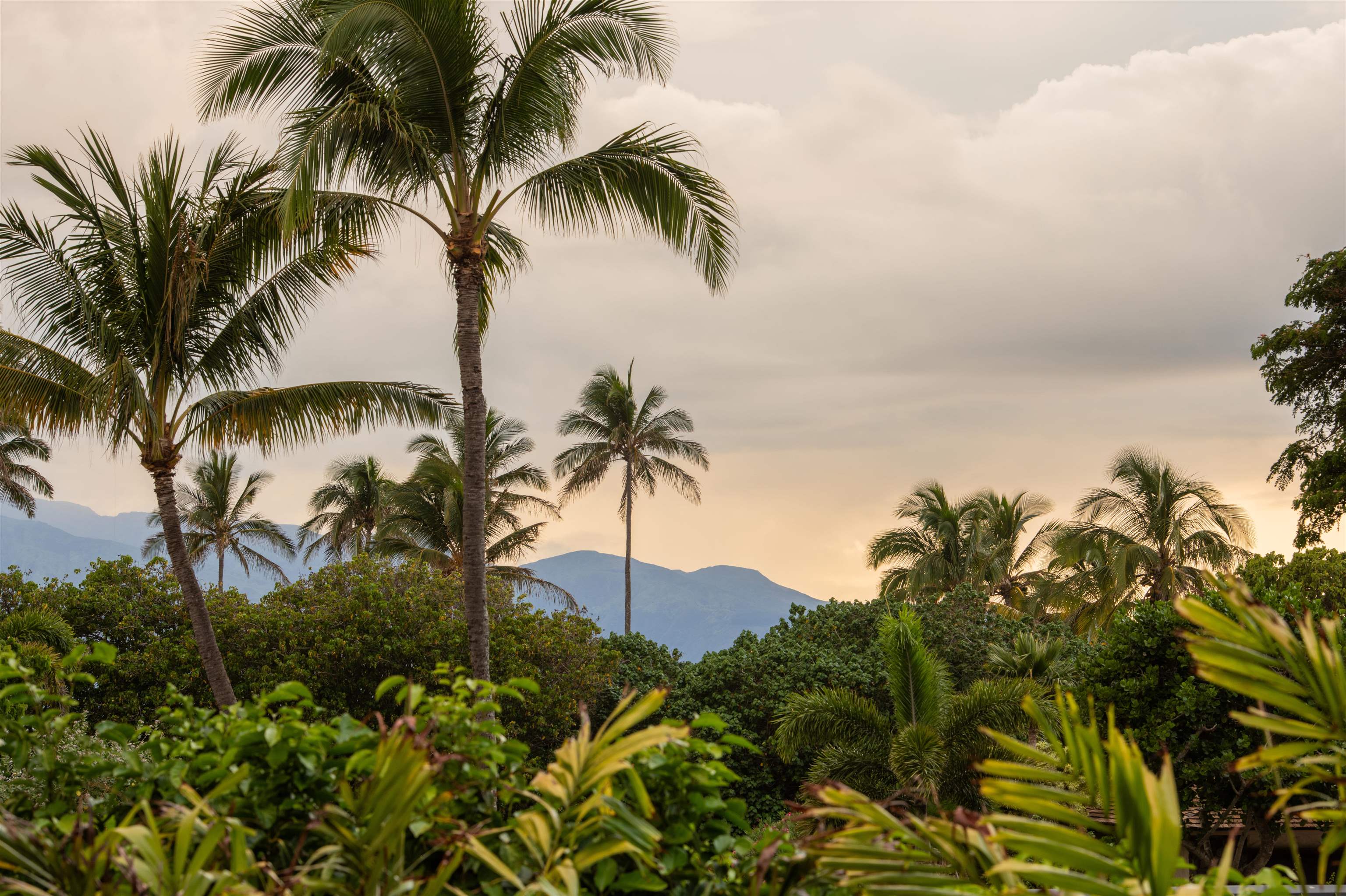 43  Nonohe Pl Spreckelsville, Spreckelsville/Paia/Kuau home - photo 43 of 50