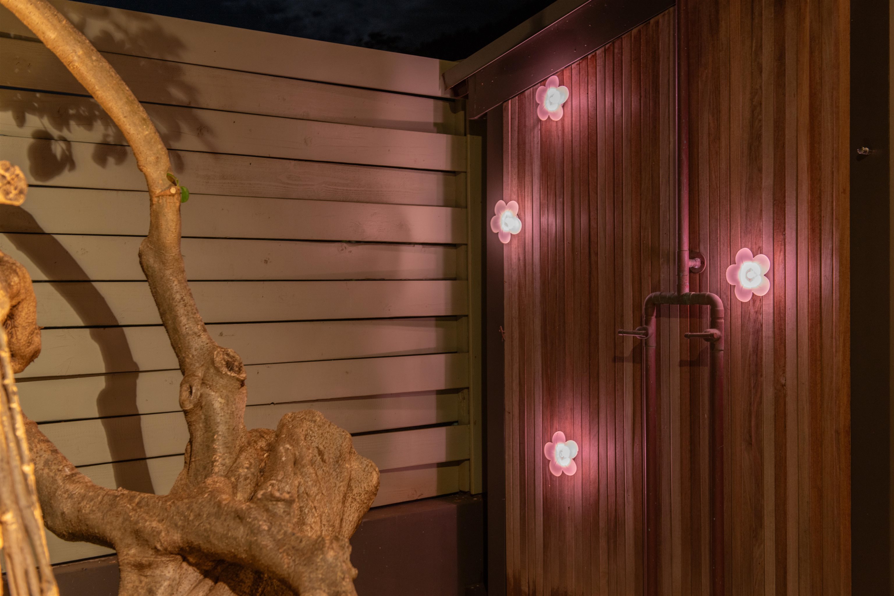 43  Nonohe Pl Spreckelsville, Spreckelsville/Paia/Kuau home - photo 46 of 50