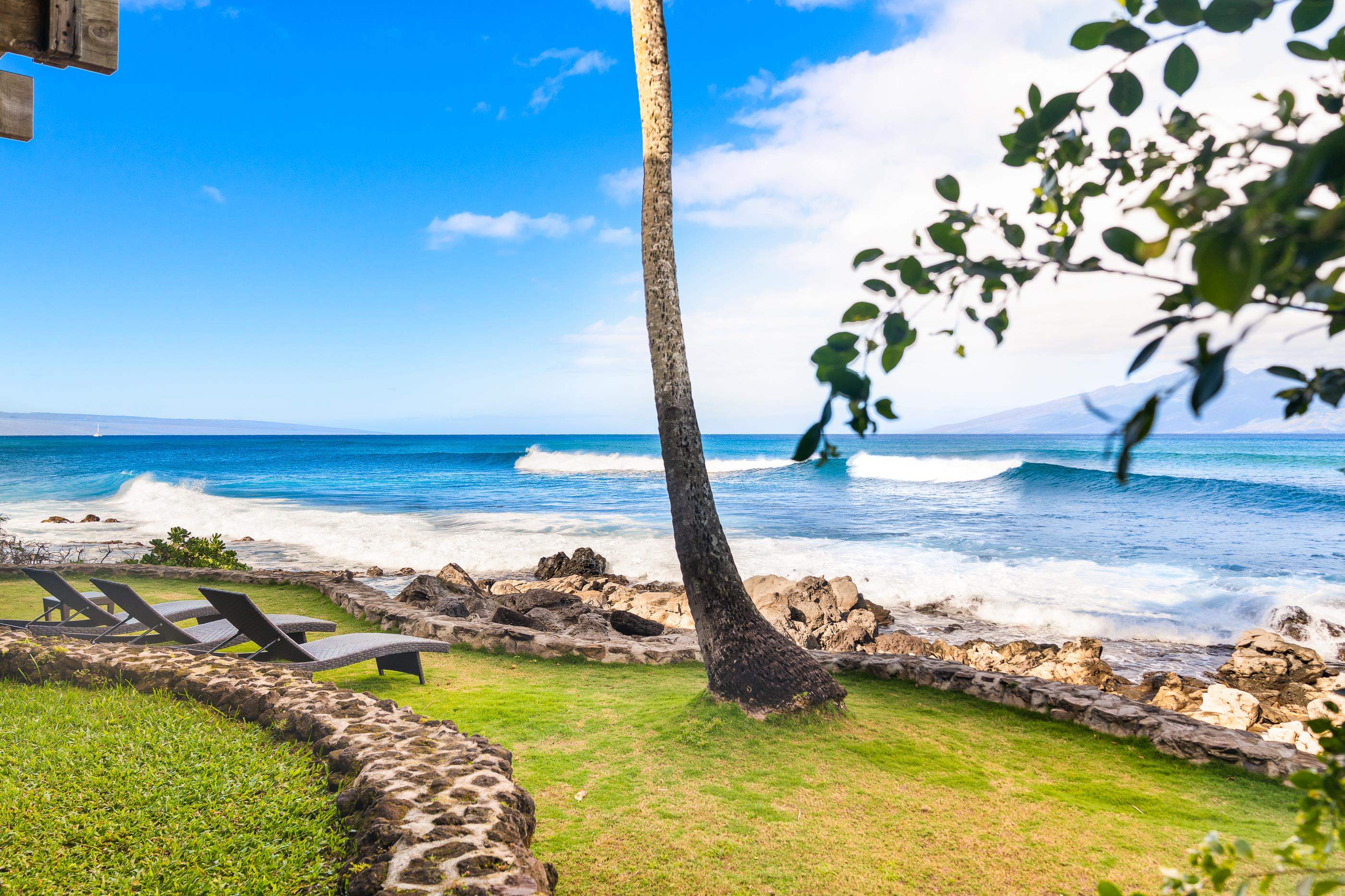 43 Papaua Pl  _Residential House - photo 46 of 50