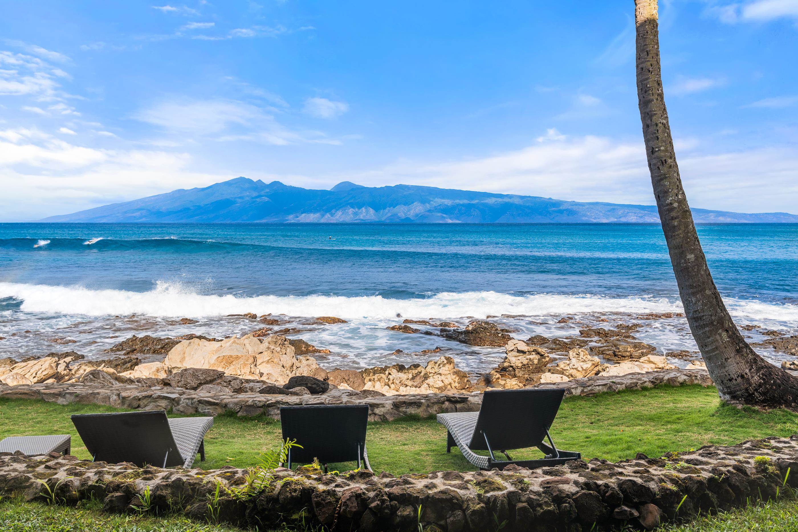 43 Papaua Pl  _Residential House - photo 8 of 50