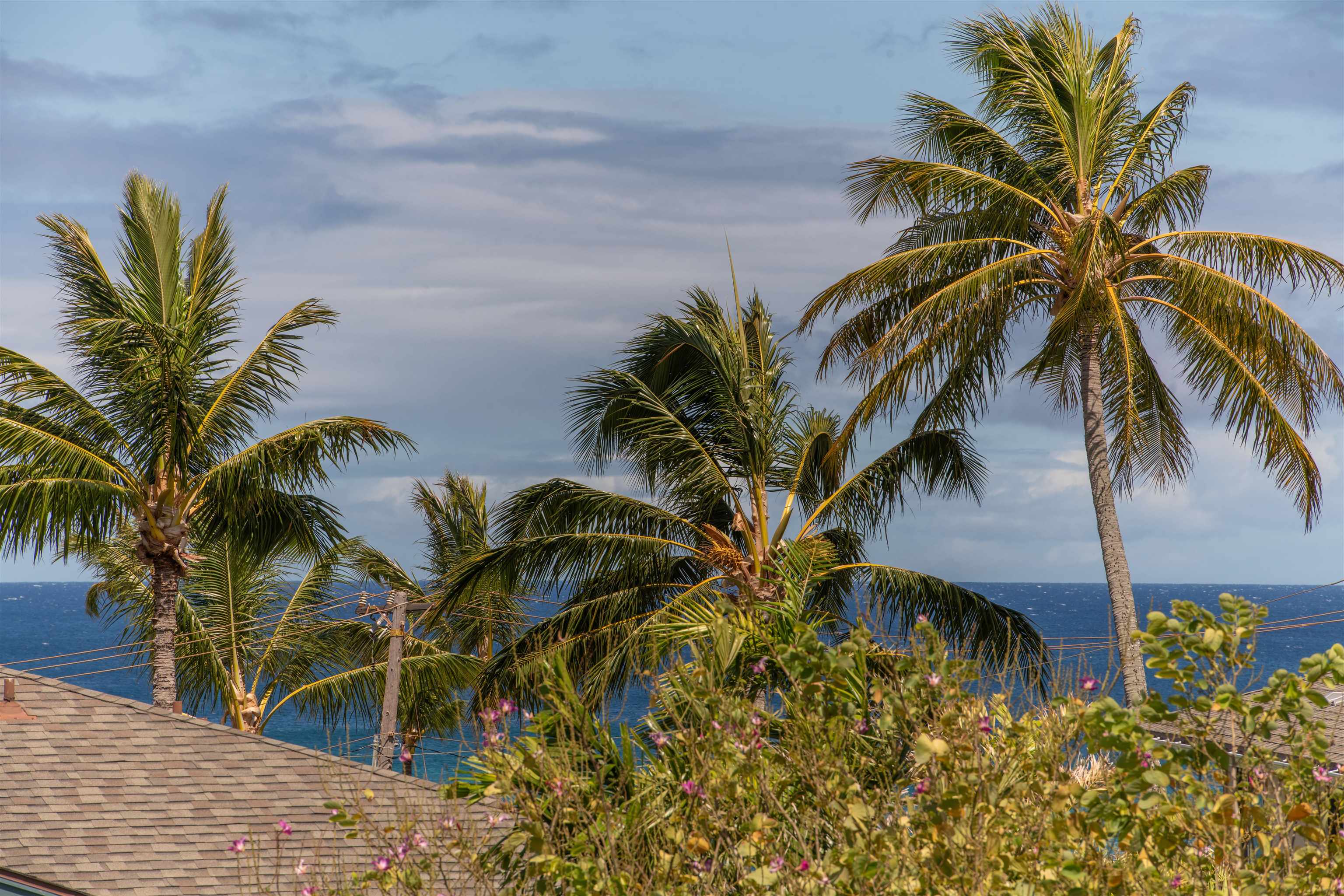 Napili Villas condo # 13-8, Lahaina, Hawaii - photo 2 of 36