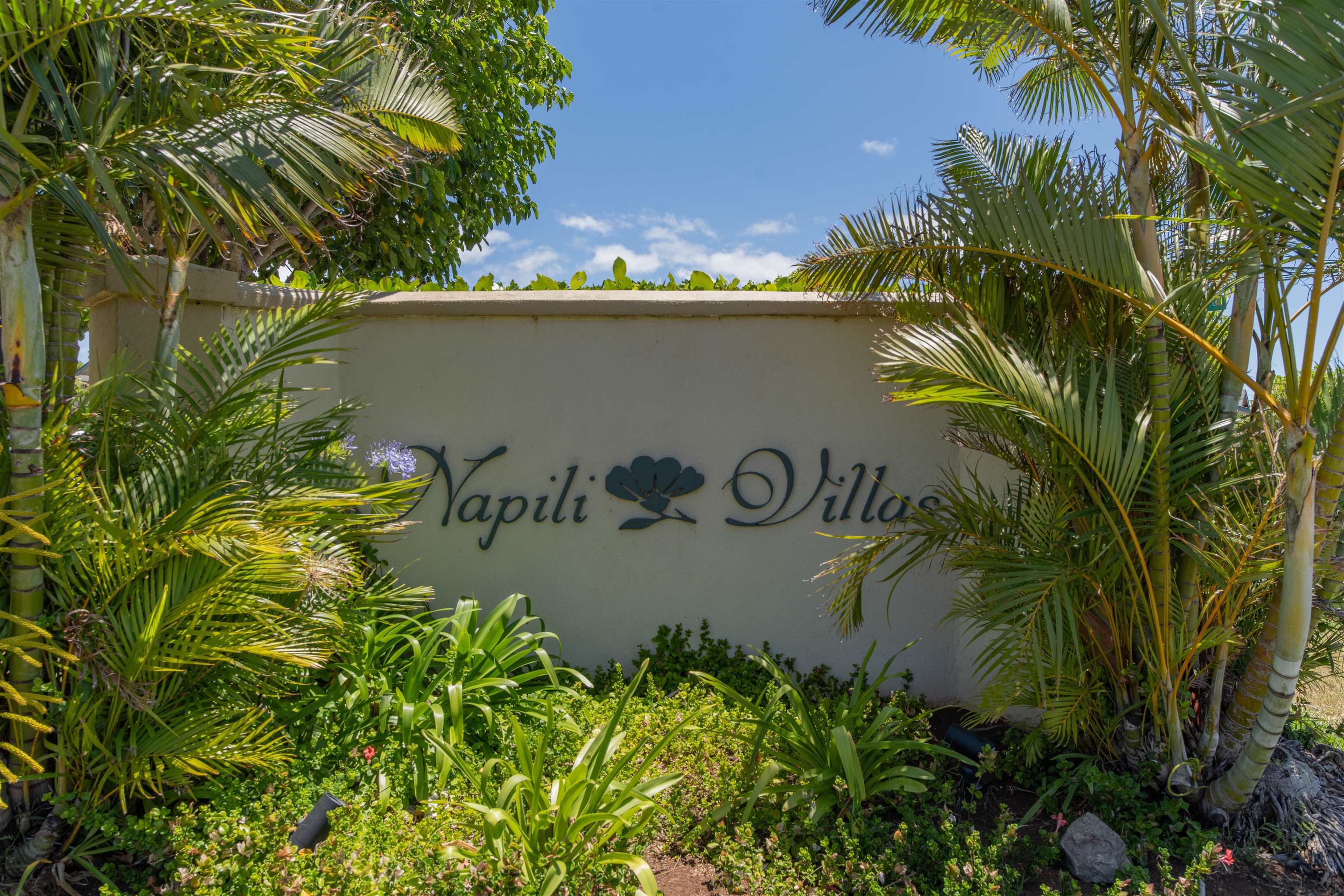 Napili Villas condo # 13-8, Lahaina, Hawaii - photo 36 of 36