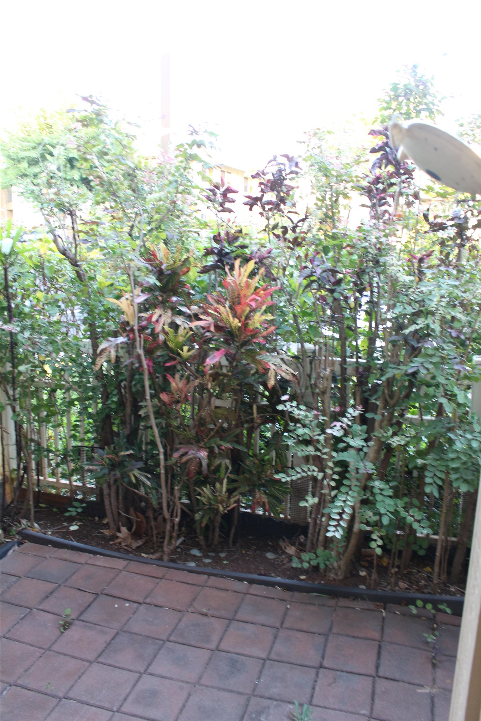 Napili Villas condo # 43 POLOHINA LANE #5, Lahaina, Hawaii - photo 17 of 19