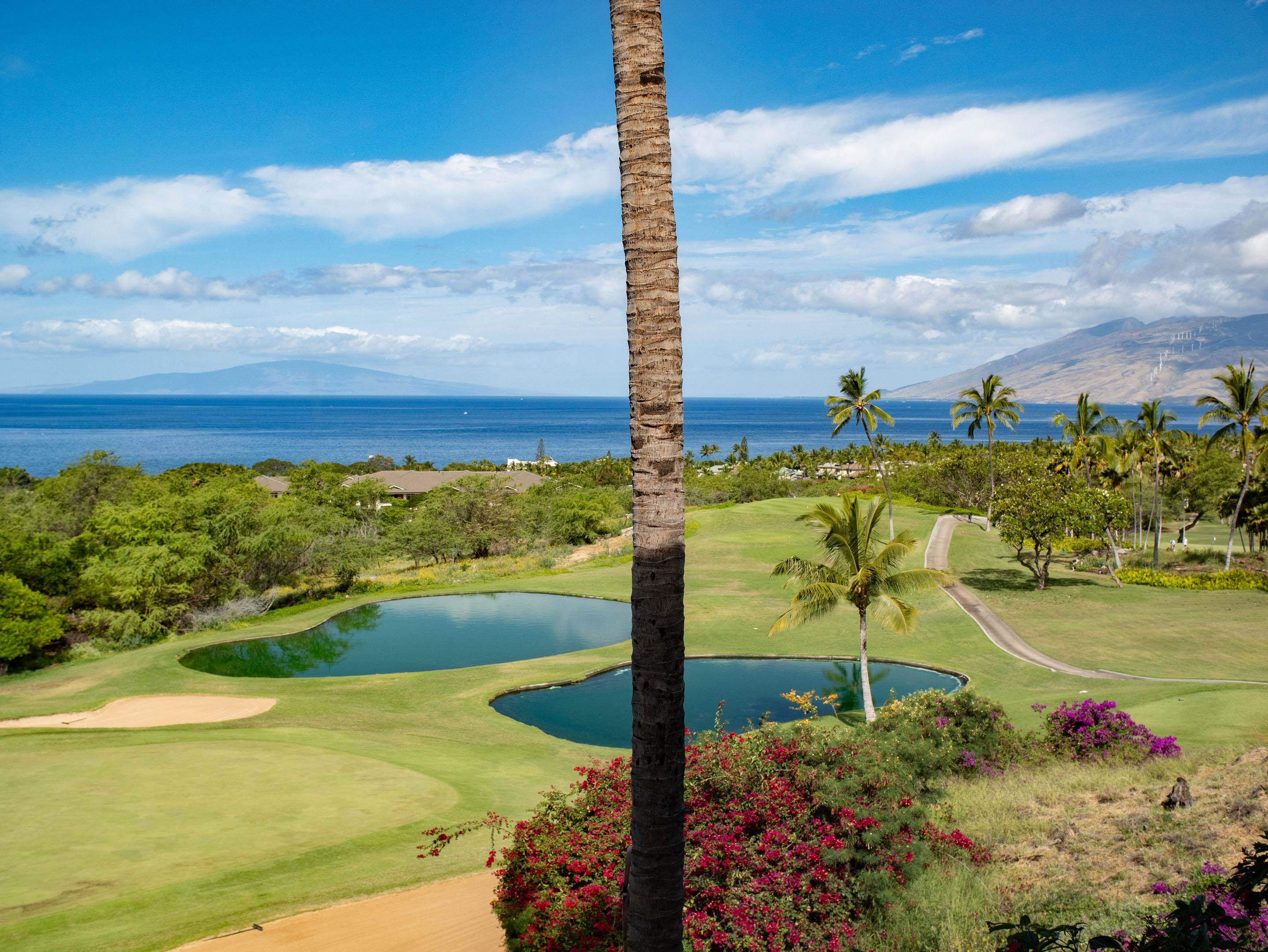 Keala O Wailea condo # 1-201, Kihei, Hawaii - photo 30 of 49