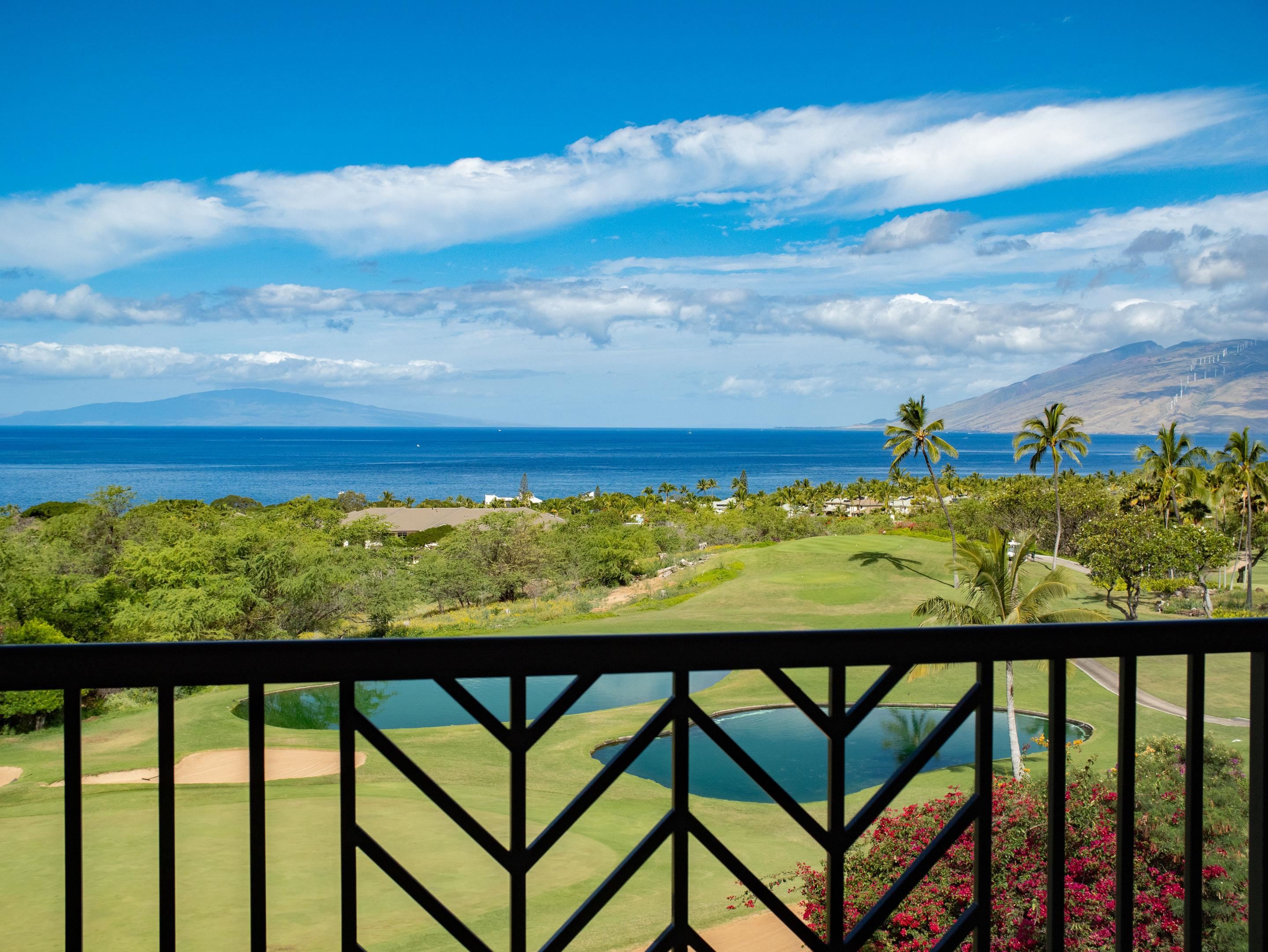 Keala O Wailea condo # 1-201, Kihei, Hawaii - photo 35 of 49