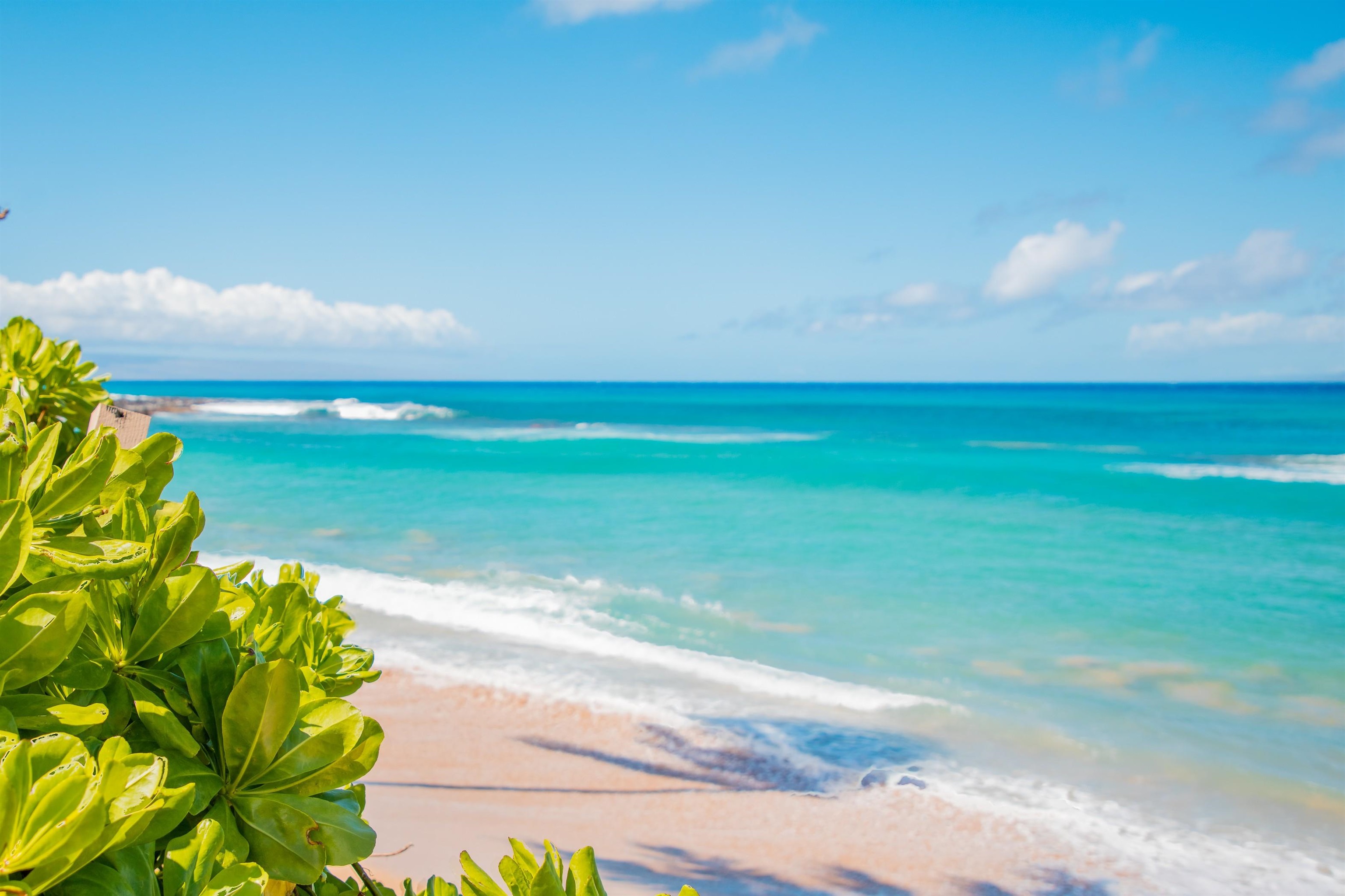 Kahana Manor condo # 302, Lahaina, Hawaii - photo 4 of 50