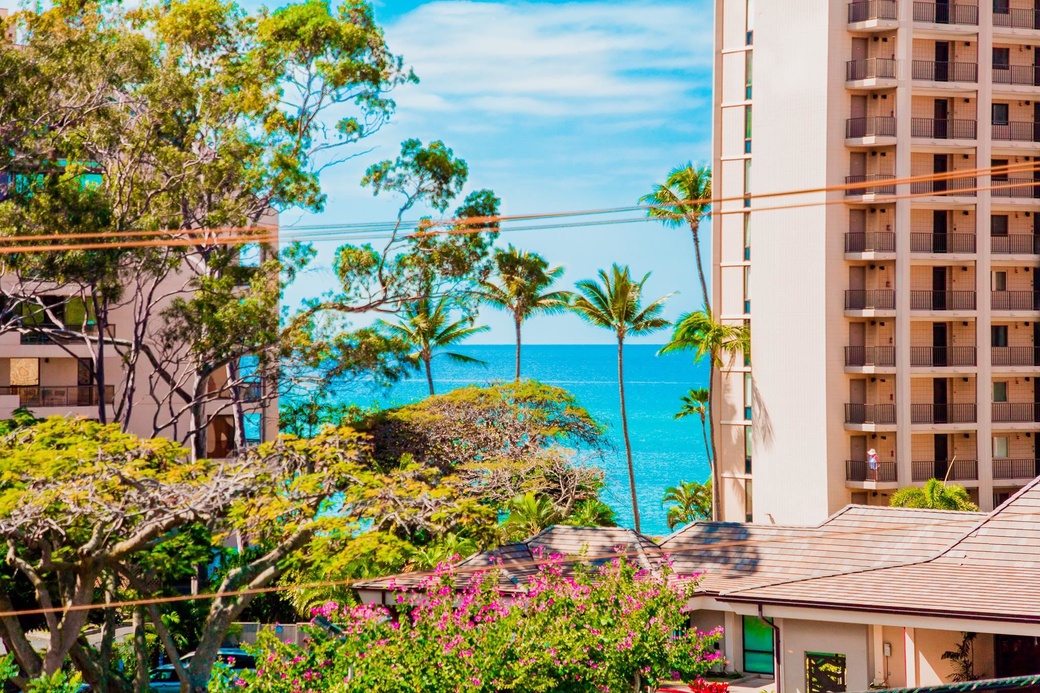 Kahana Manor condo # 302, Lahaina, Hawaii - photo 37 of 50