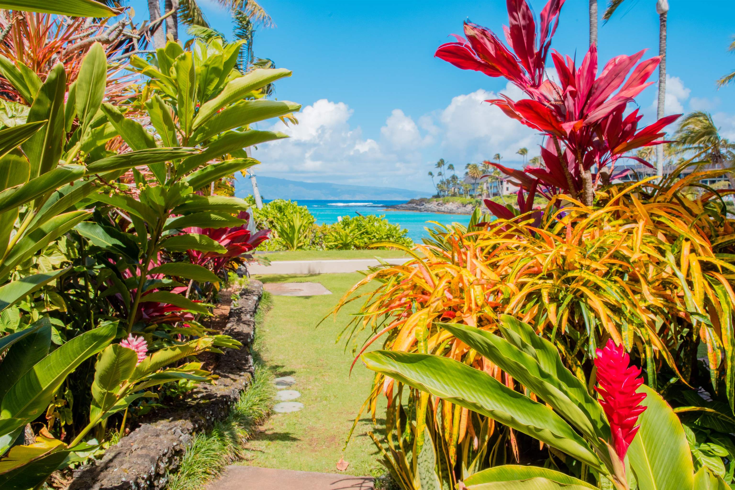 Kahana Manor condo # 302, Lahaina, Hawaii - photo 39 of 50