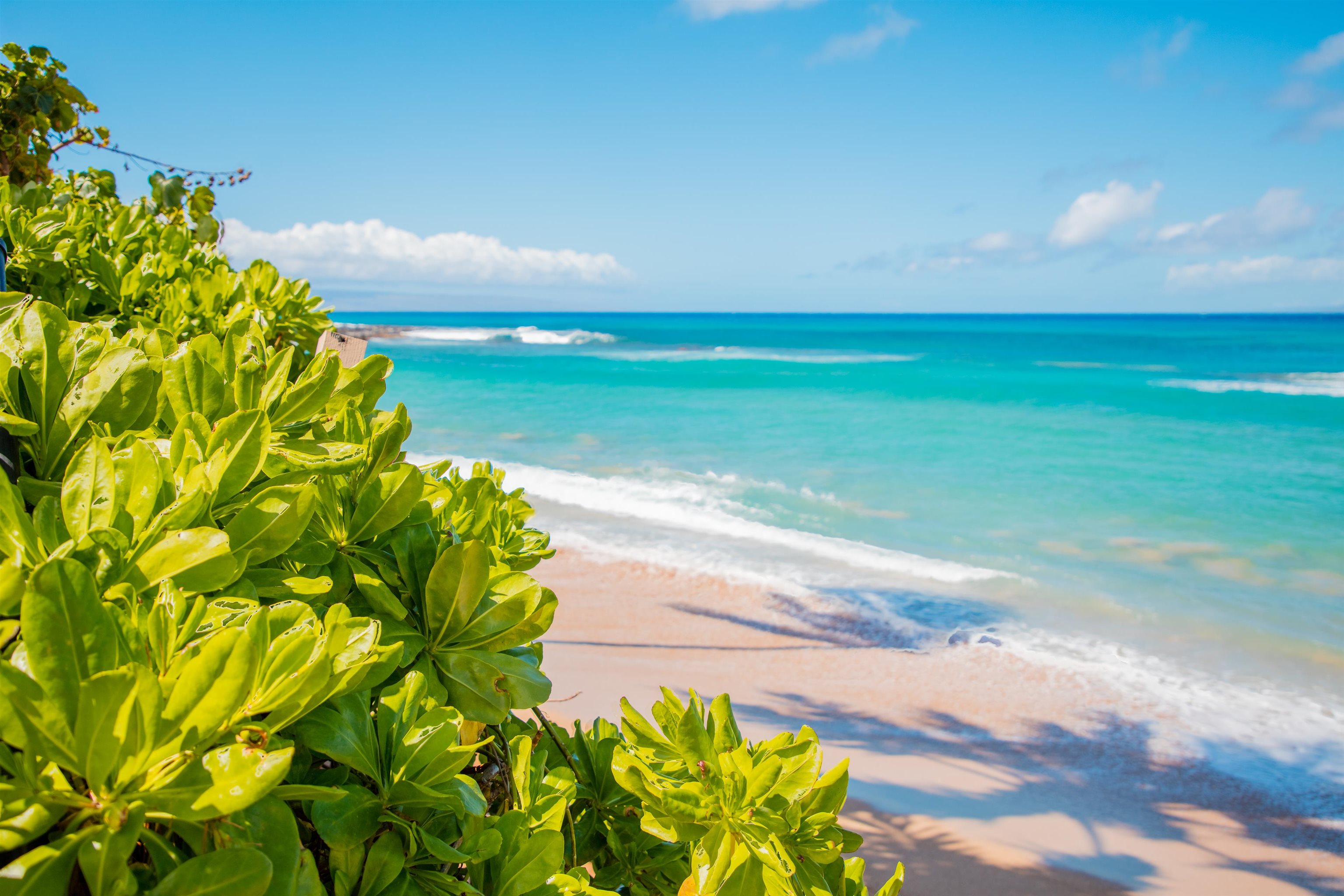 Kahana Manor condo # 302, Lahaina, Hawaii - photo 40 of 50
