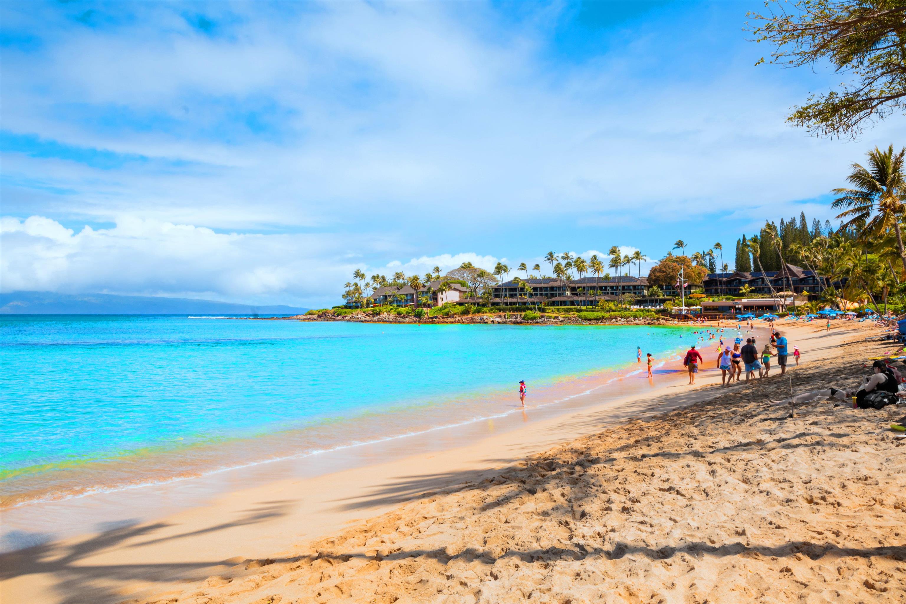 Kahana Manor condo # 302, Lahaina, Hawaii - photo 42 of 50