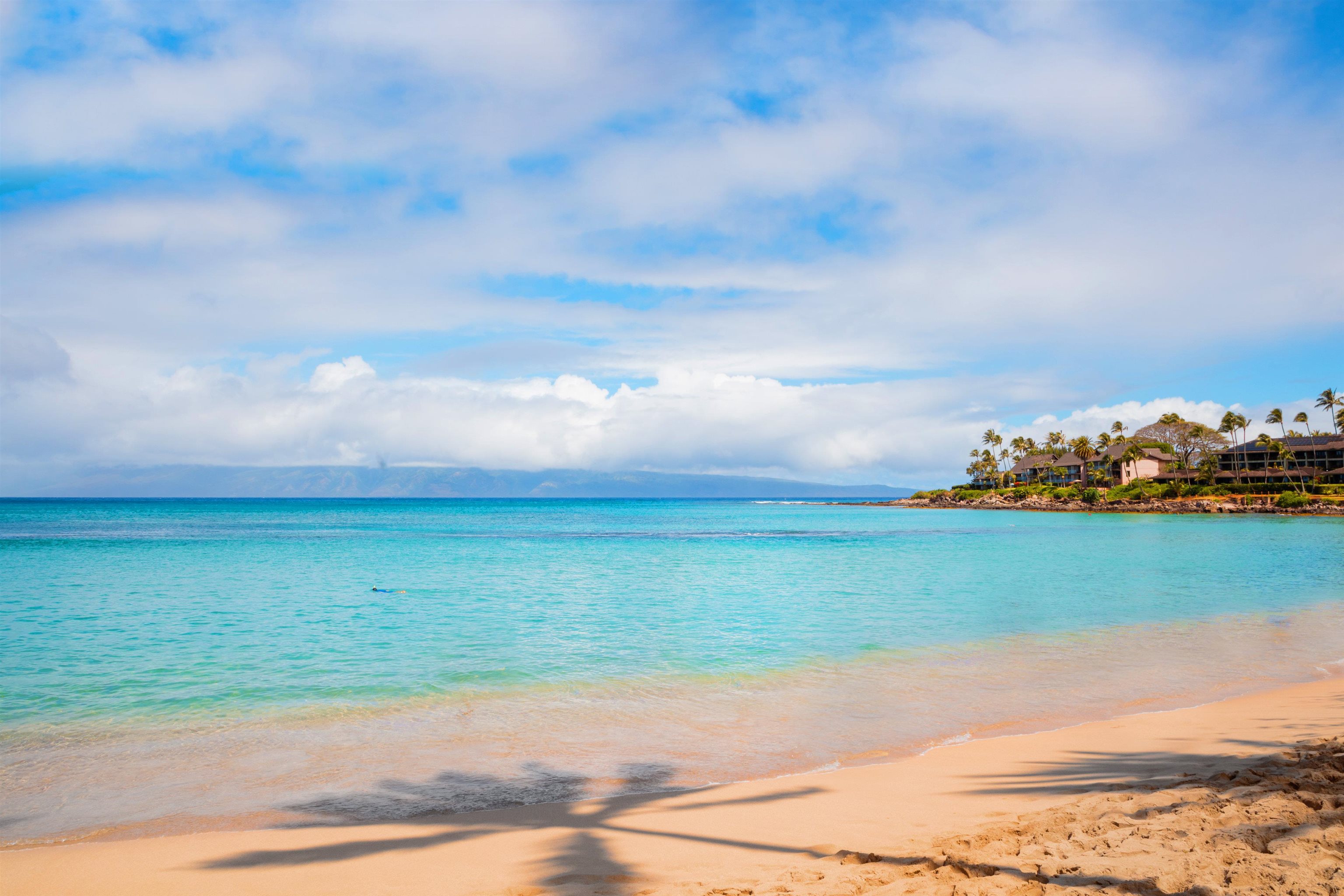 Kahana Manor condo # 302, Lahaina, Hawaii - photo 43 of 50
