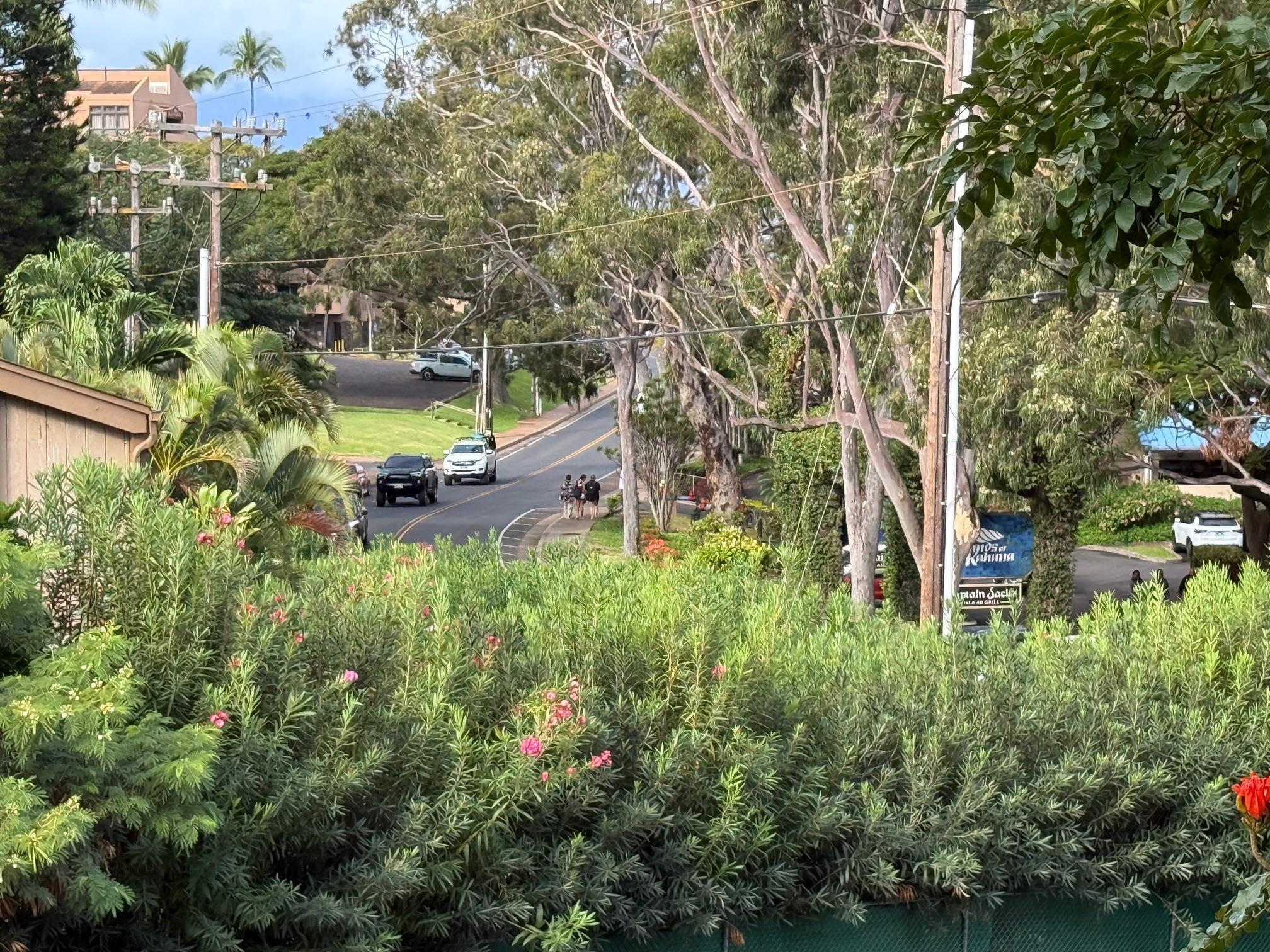 Kahana Manor condo # 315, Lahaina, Hawaii - photo 14 of 20