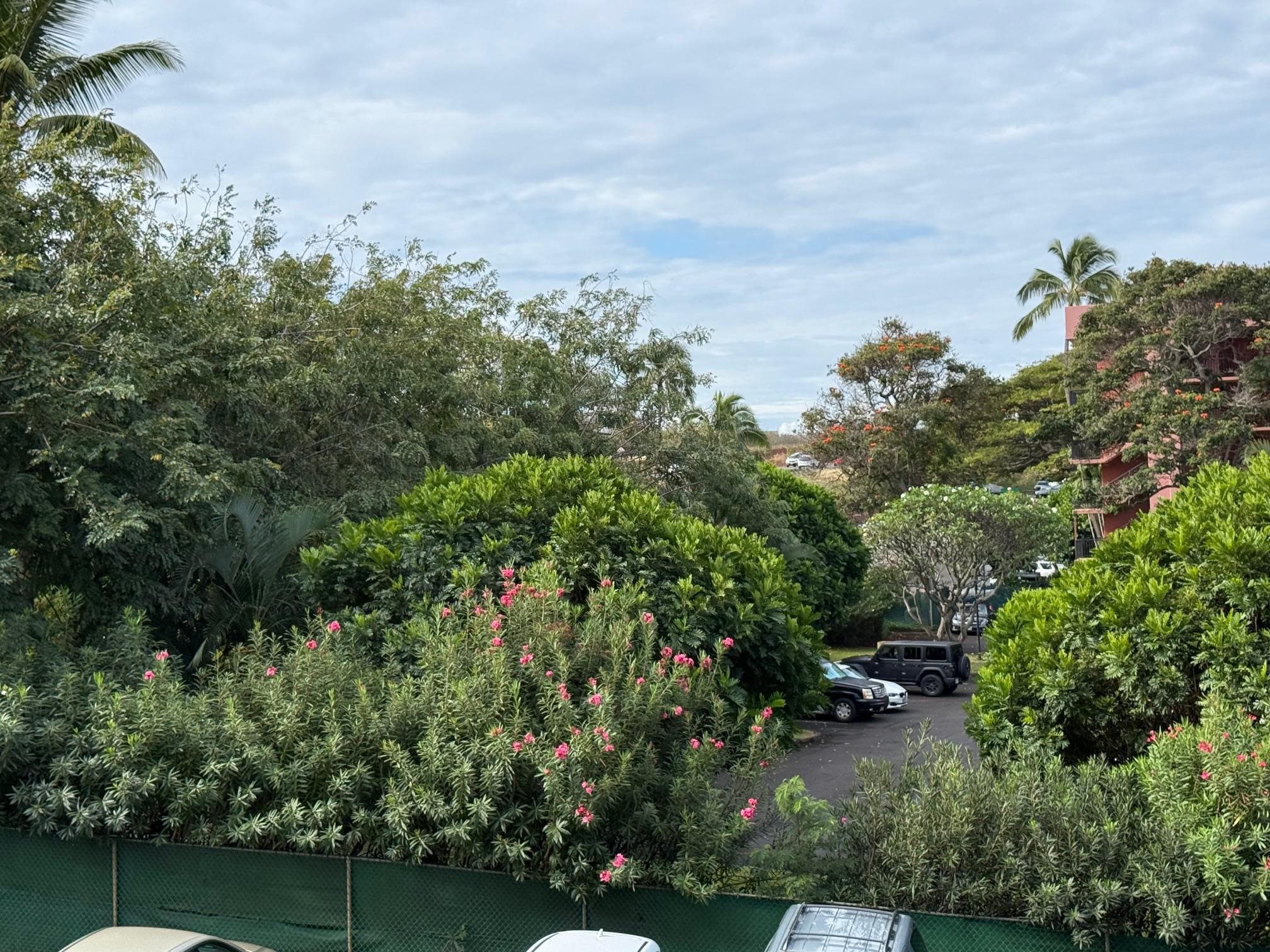 Kahana Manor condo # 315, Lahaina, Hawaii - photo 15 of 20